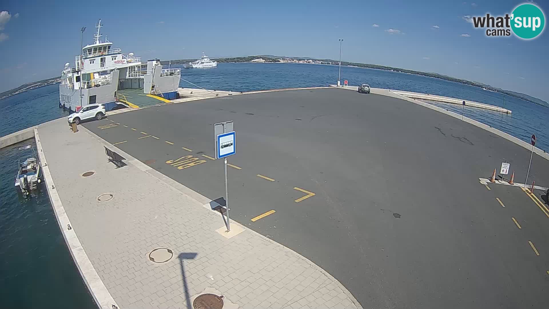 Tkon camera en vivo – Transportar – Dalmacia – Croacia