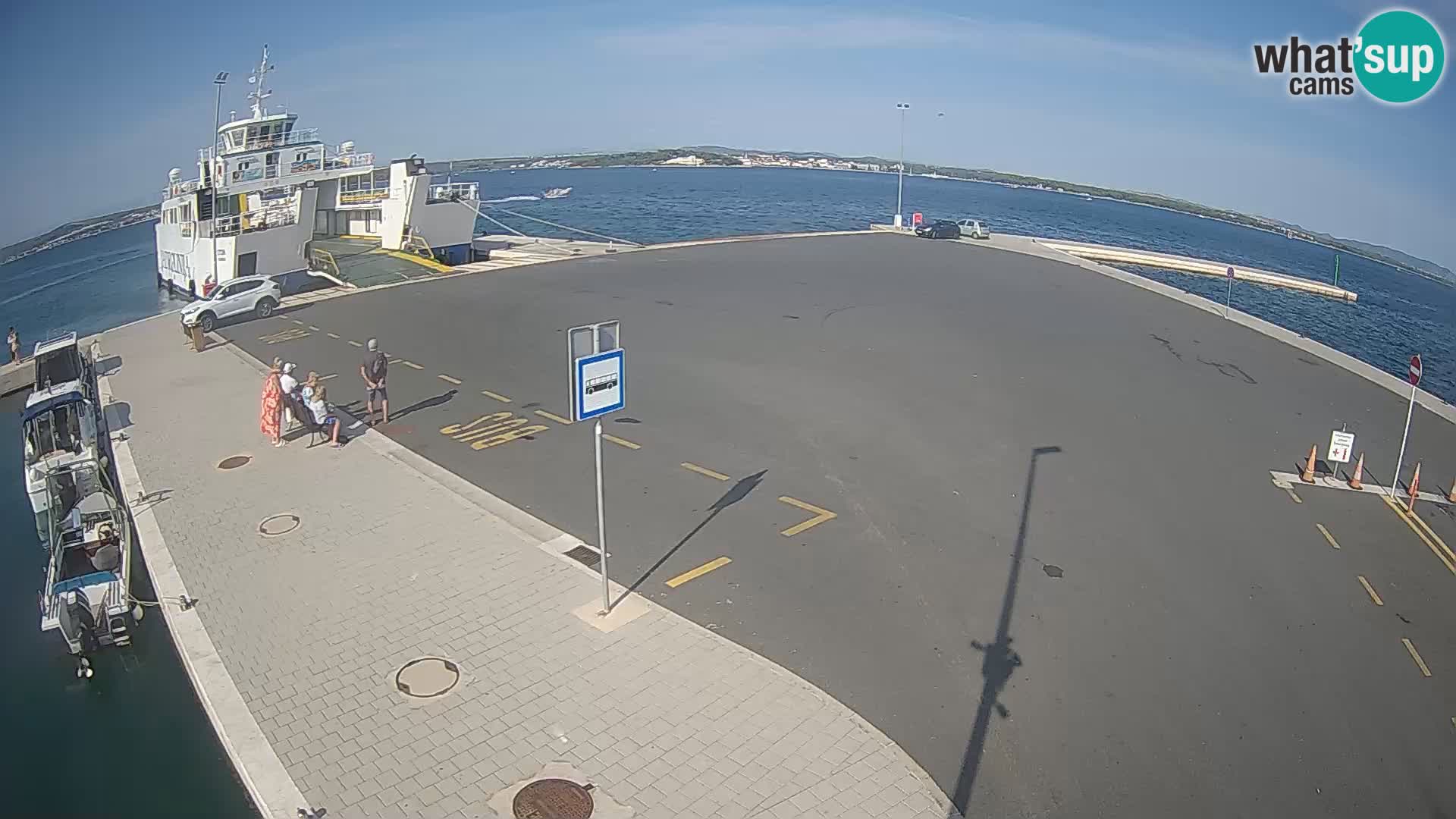 Tkon v živo – trajekt – Dalmacija – Hrvaška