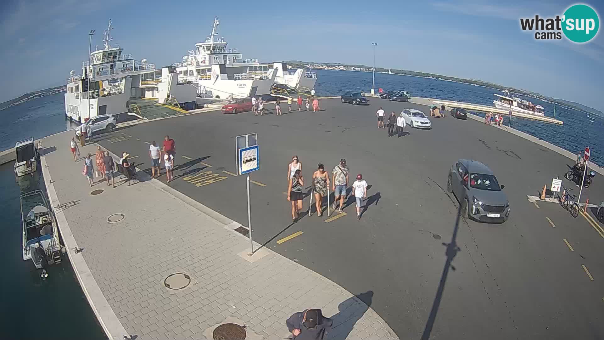 Tkon v živo – trajekt – Dalmacija – Hrvaška