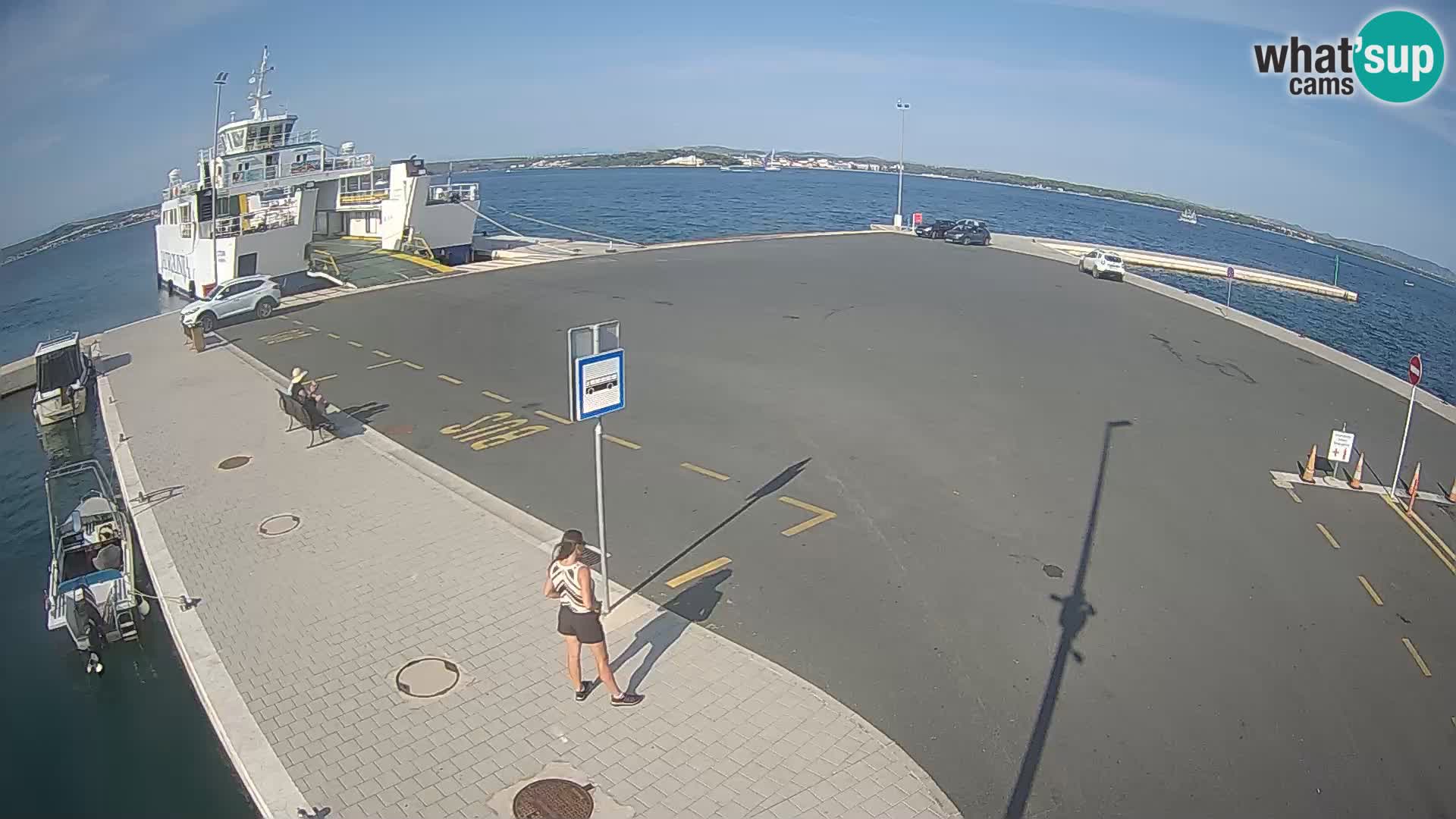 Tkon v živo – trajekt – Dalmacija – Hrvaška