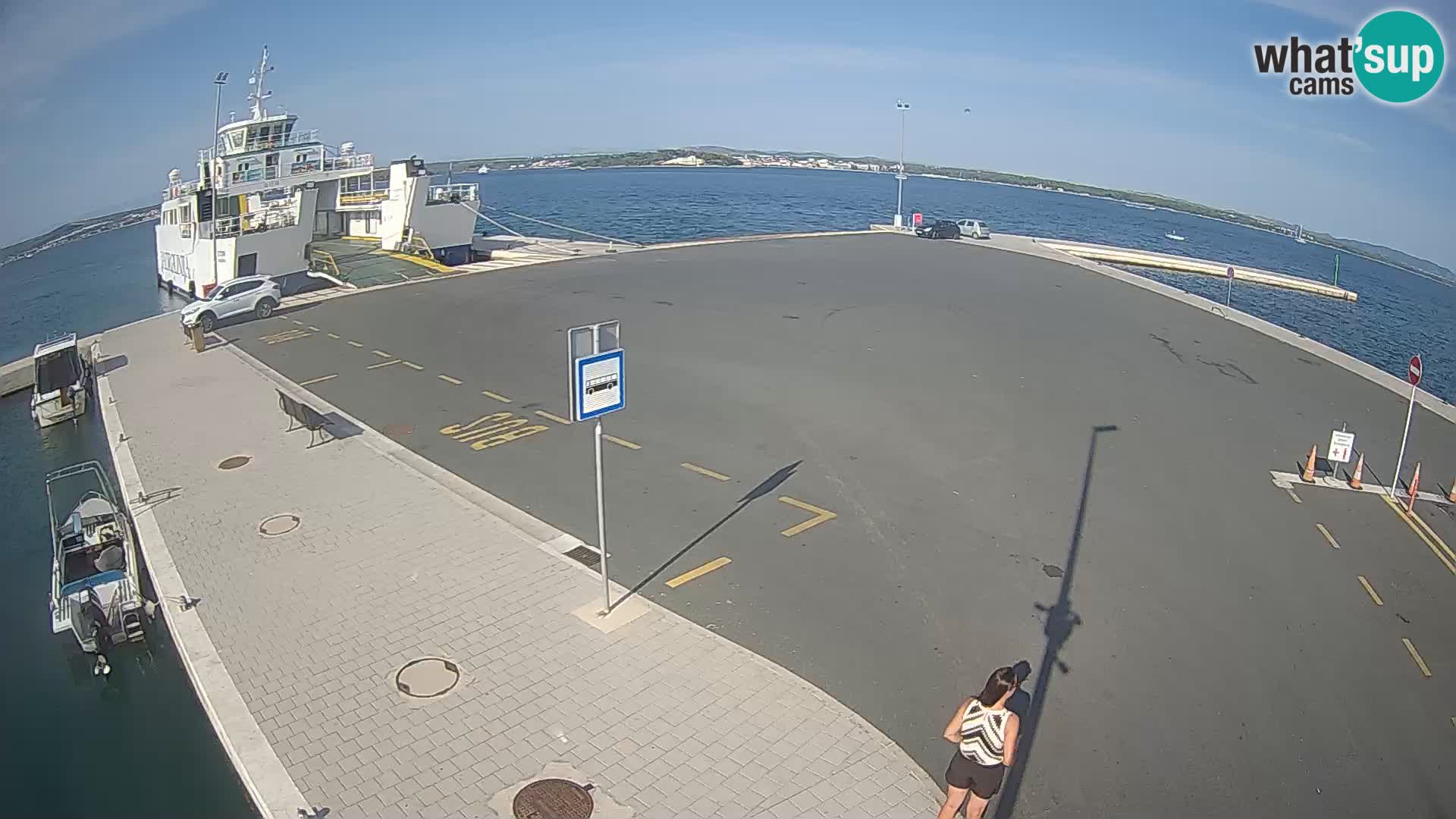 Tkon camera en vivo – Transportar – Dalmacia – Croacia