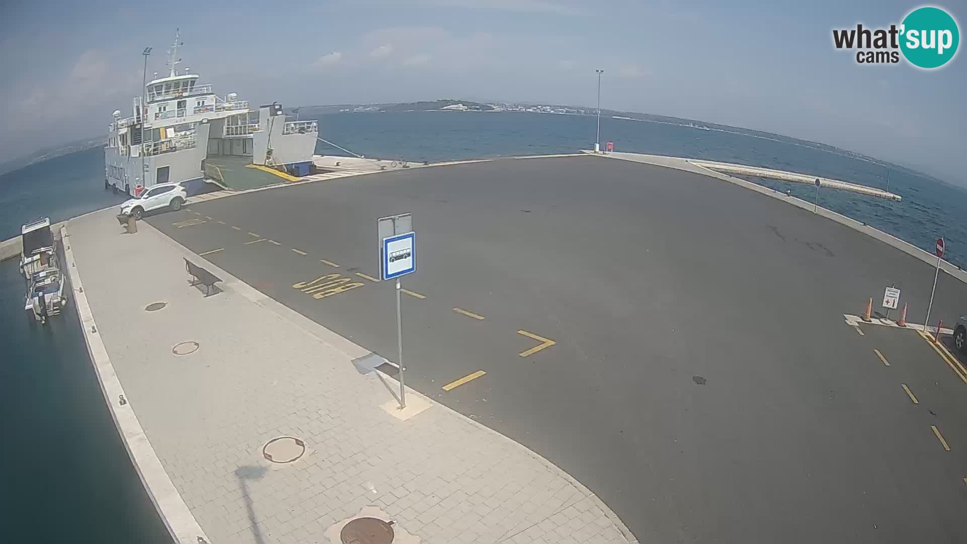 Tkon v živo – trajekt – Dalmacija – Hrvaška