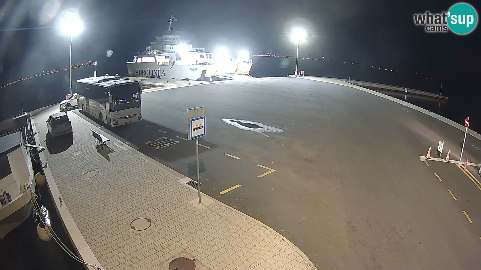 Tkon v živo – trajekt – Dalmacija – Hrvaška