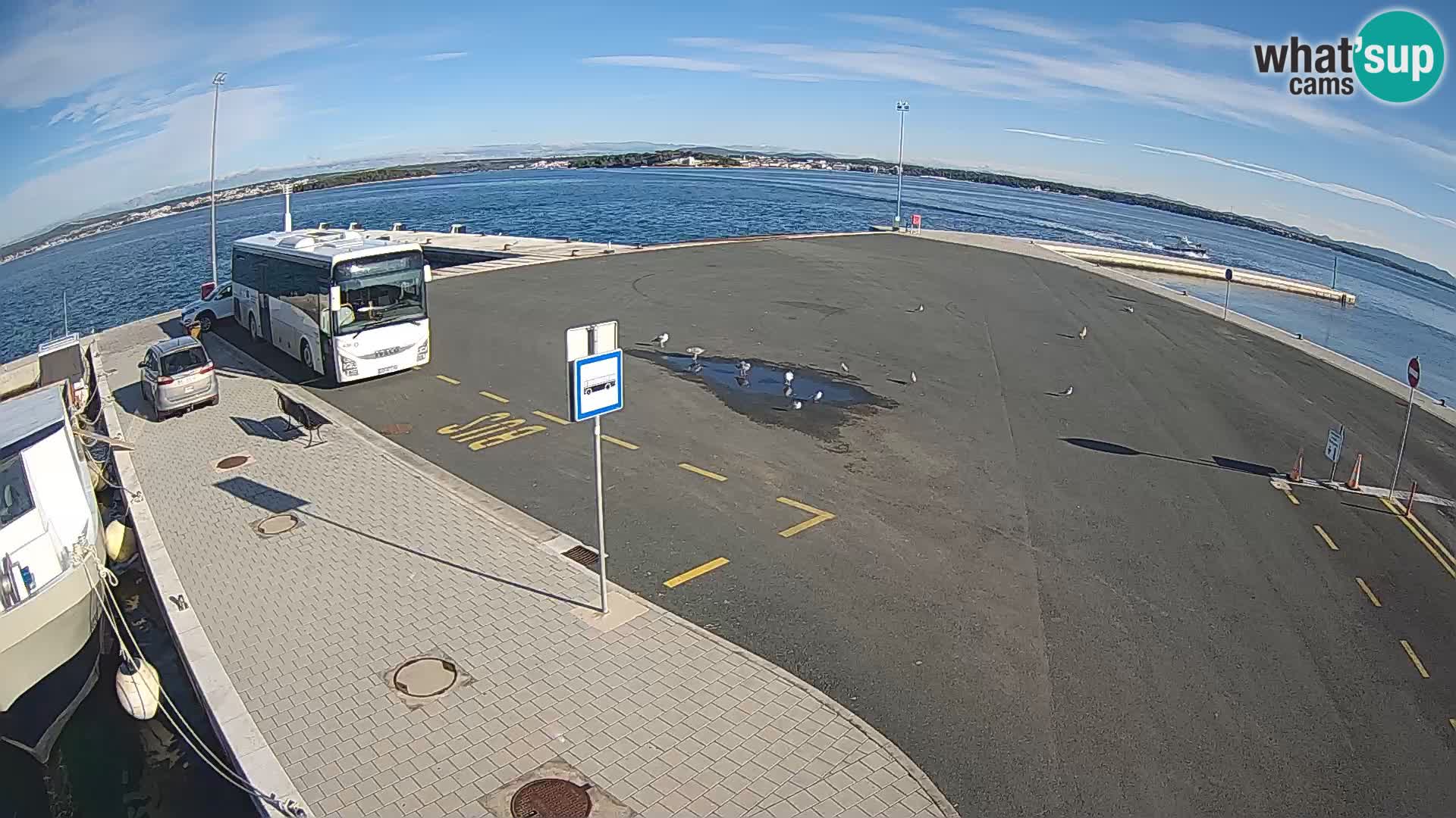 Tkon Live cam – ferry – Dalmatia – Croatia