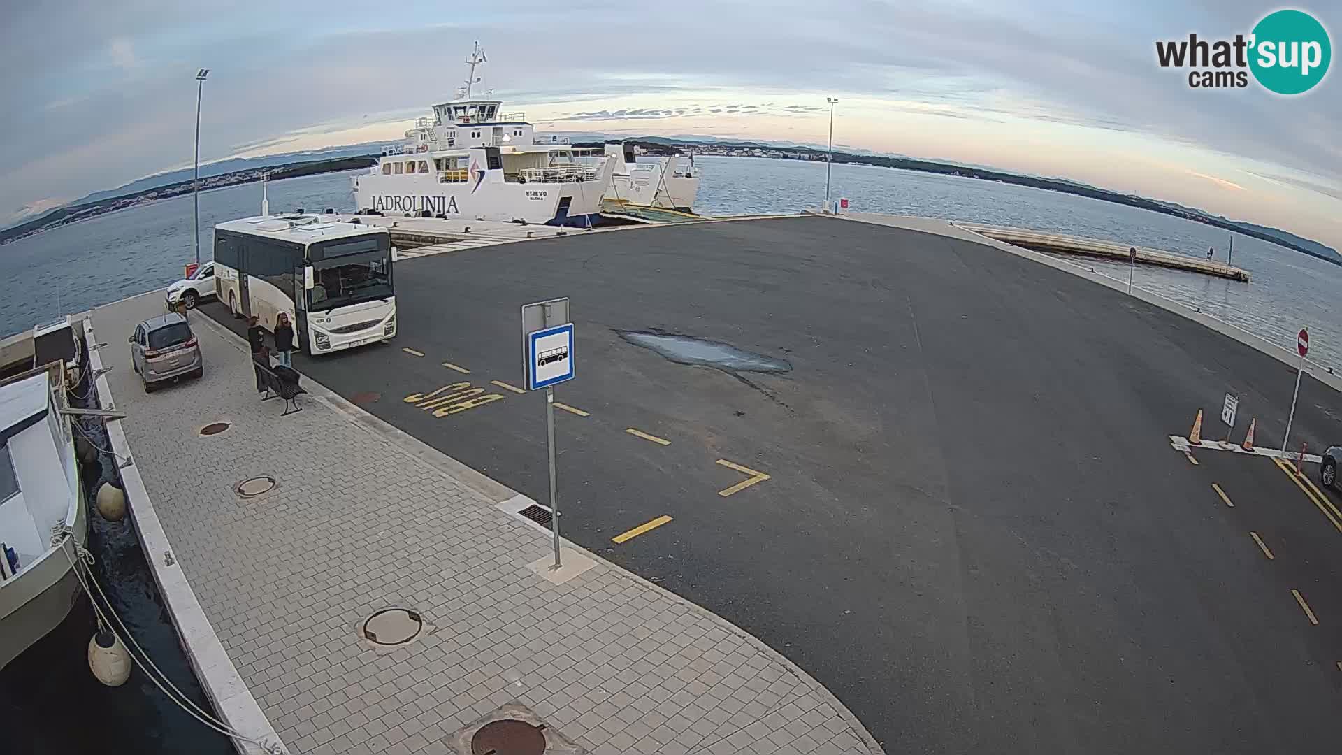 Tkon u živo – trajekt – Dalmacija