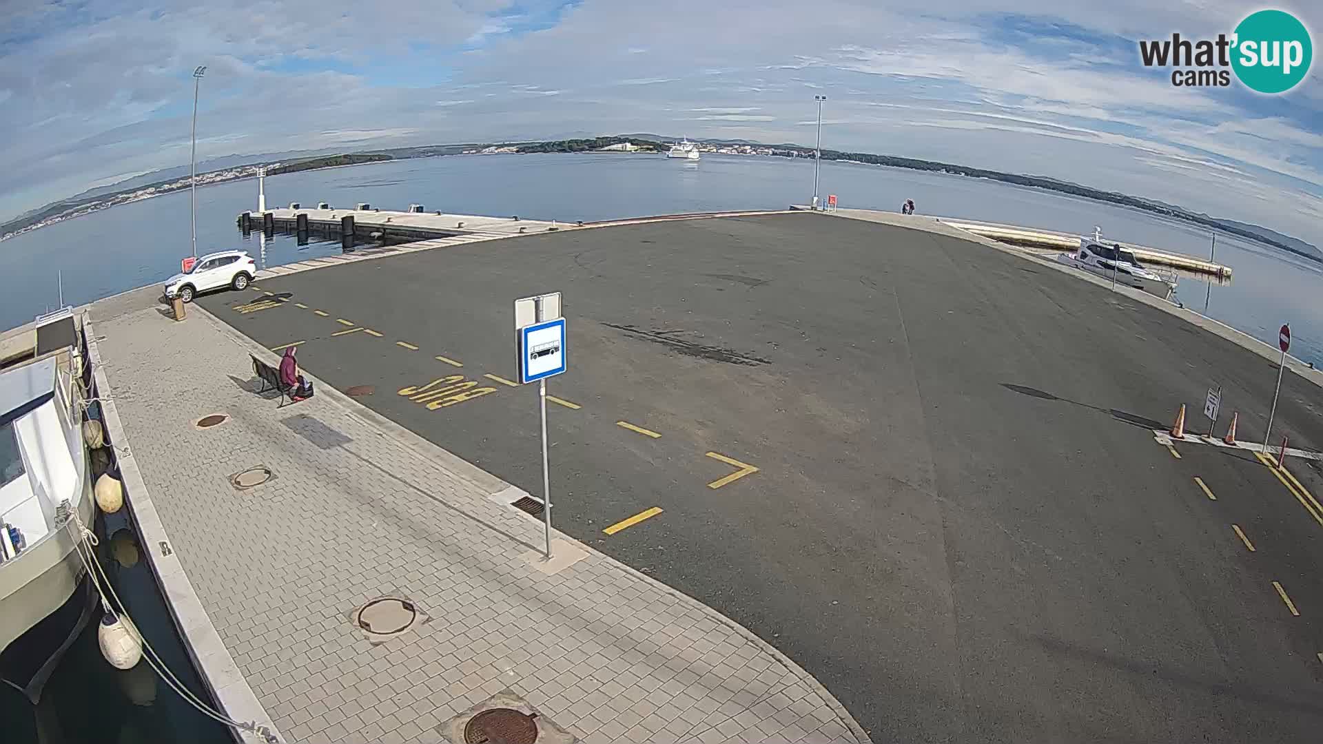 Tkon v živo – trajekt – Dalmacija – Hrvaška