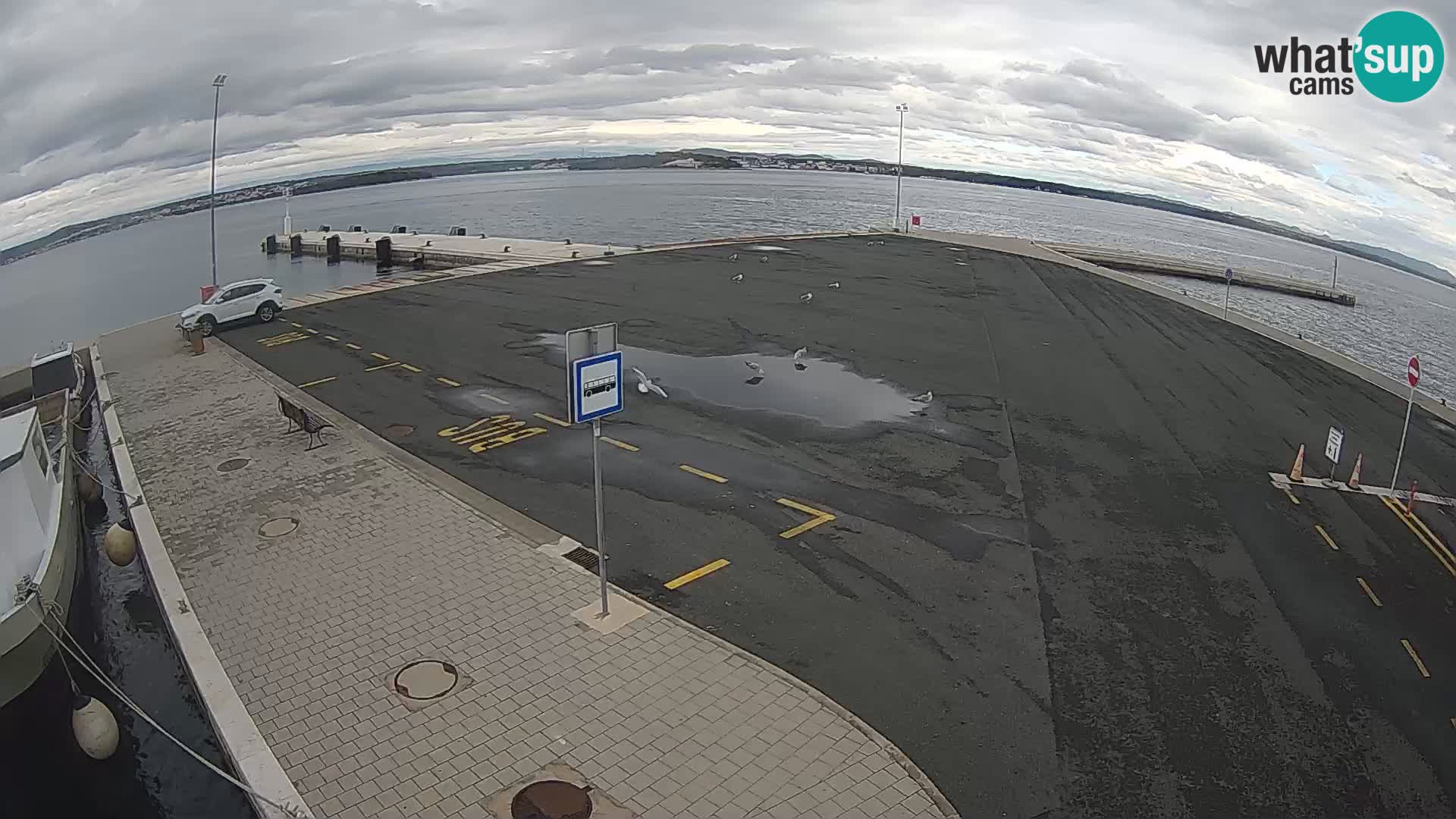 Tkon Live cam – traghetto – Dalmazia – Croazia