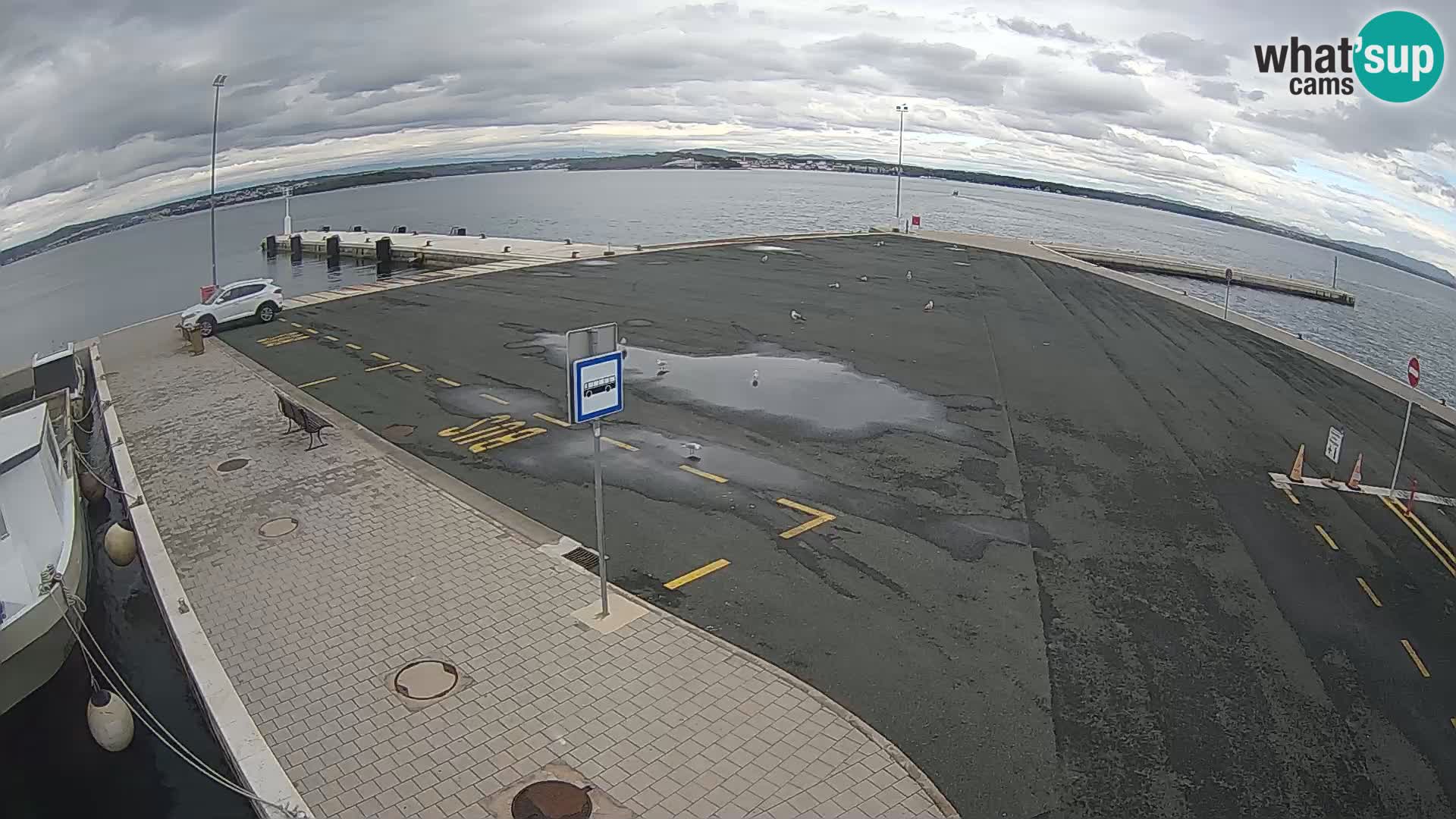 Tkon Live cam – Fähre – Dalmatien – Kroatien