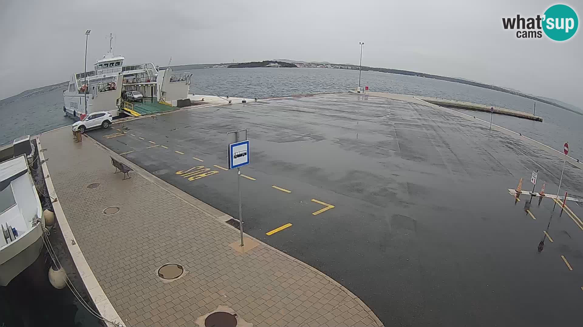 Tkon u živo – trajekt – Dalmacija