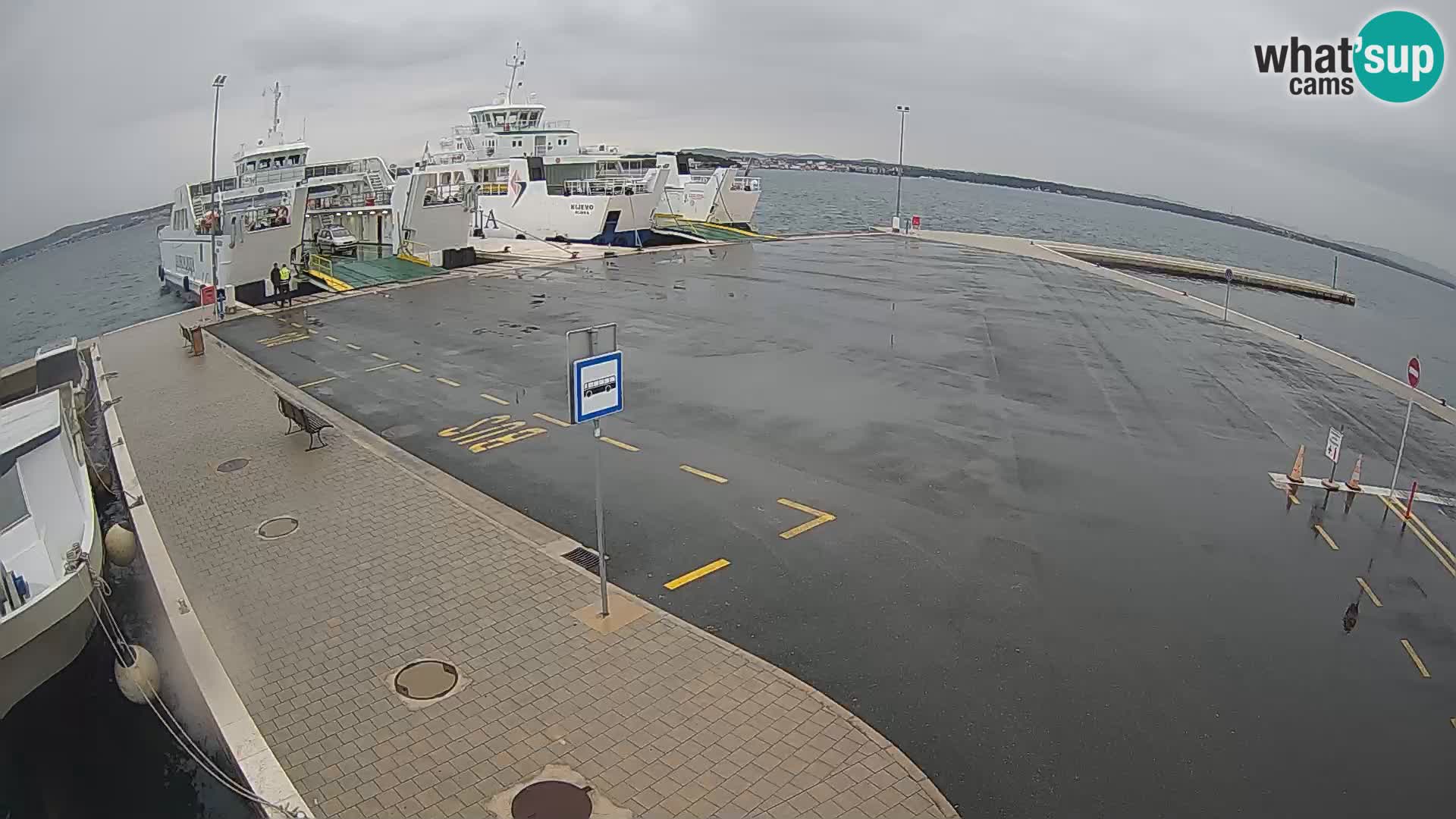 Tkon u živo – trajekt – Dalmacija