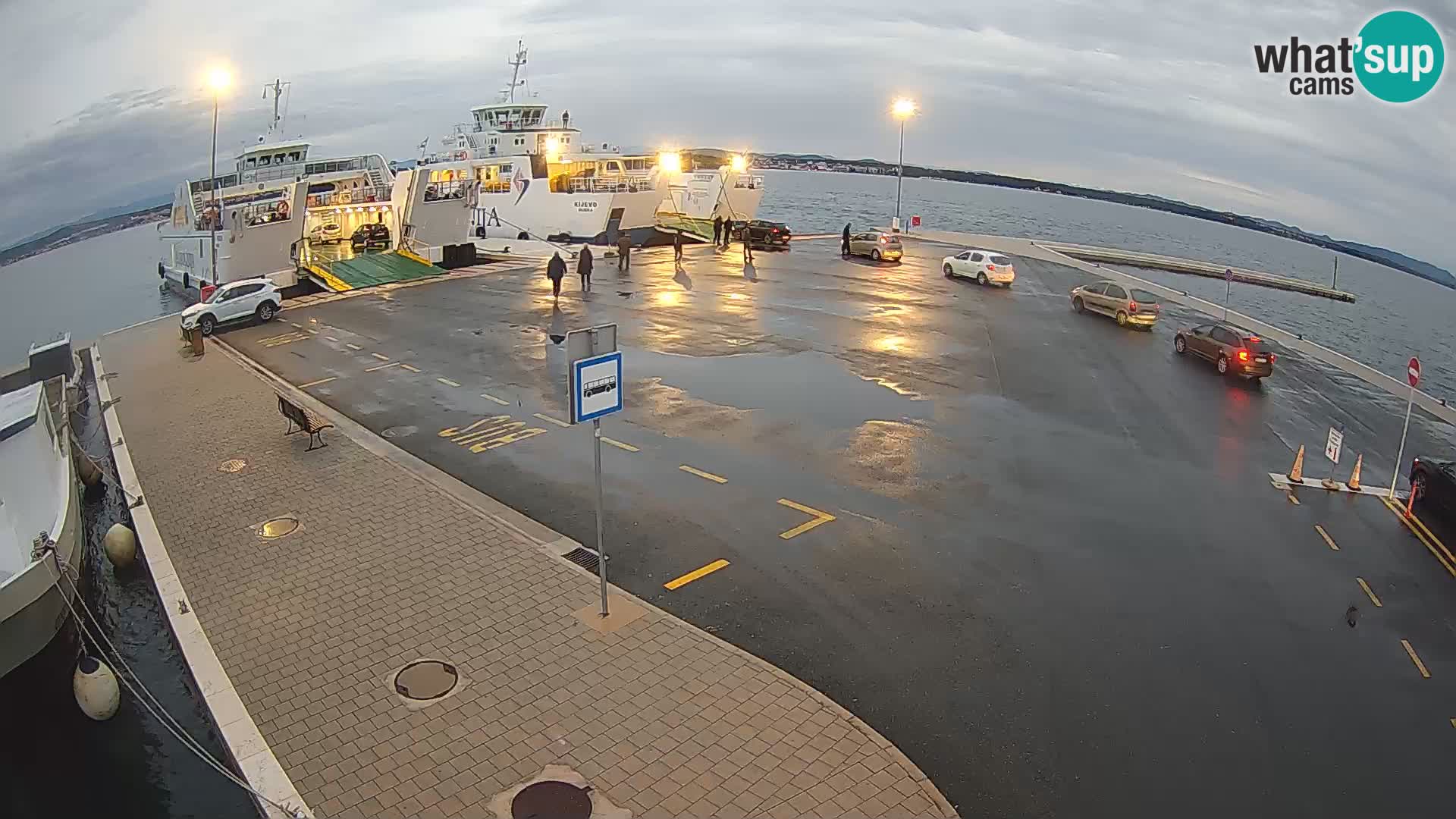 Tkon v živo – trajekt – Dalmacija – Hrvaška