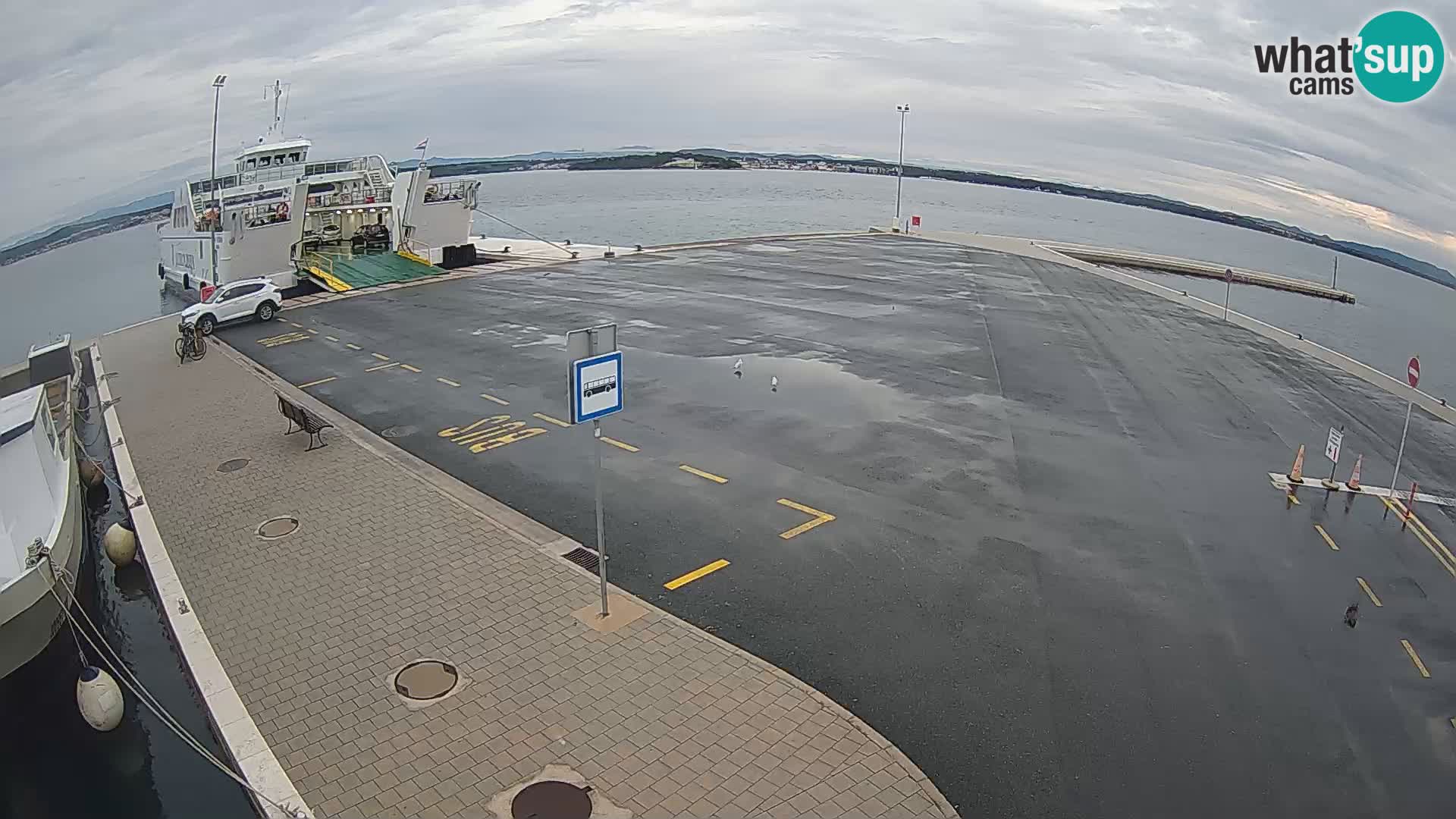 Tkon Live cam – ferry – Dalmatia – Croatia