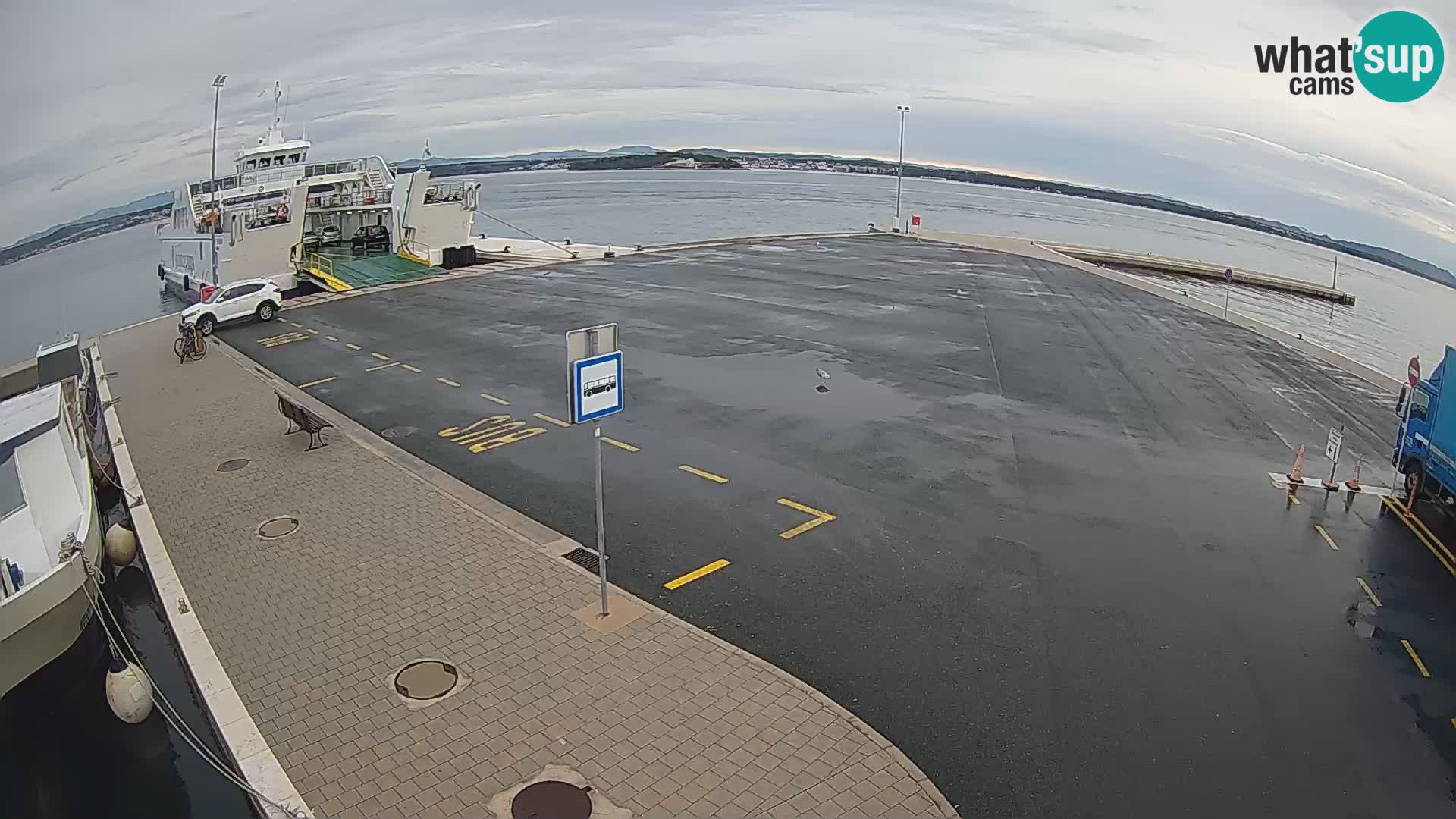 Tkon v živo – trajekt – Dalmacija – Hrvaška