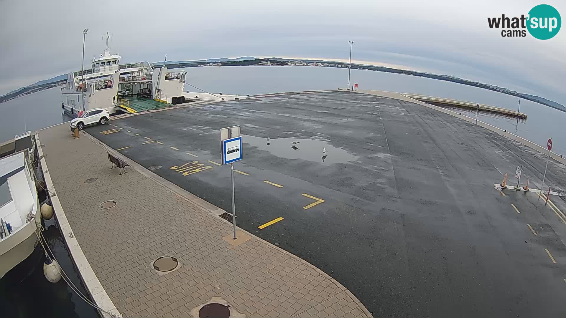 Tkon camera en vivo – Transportar – Dalmacia – Croacia