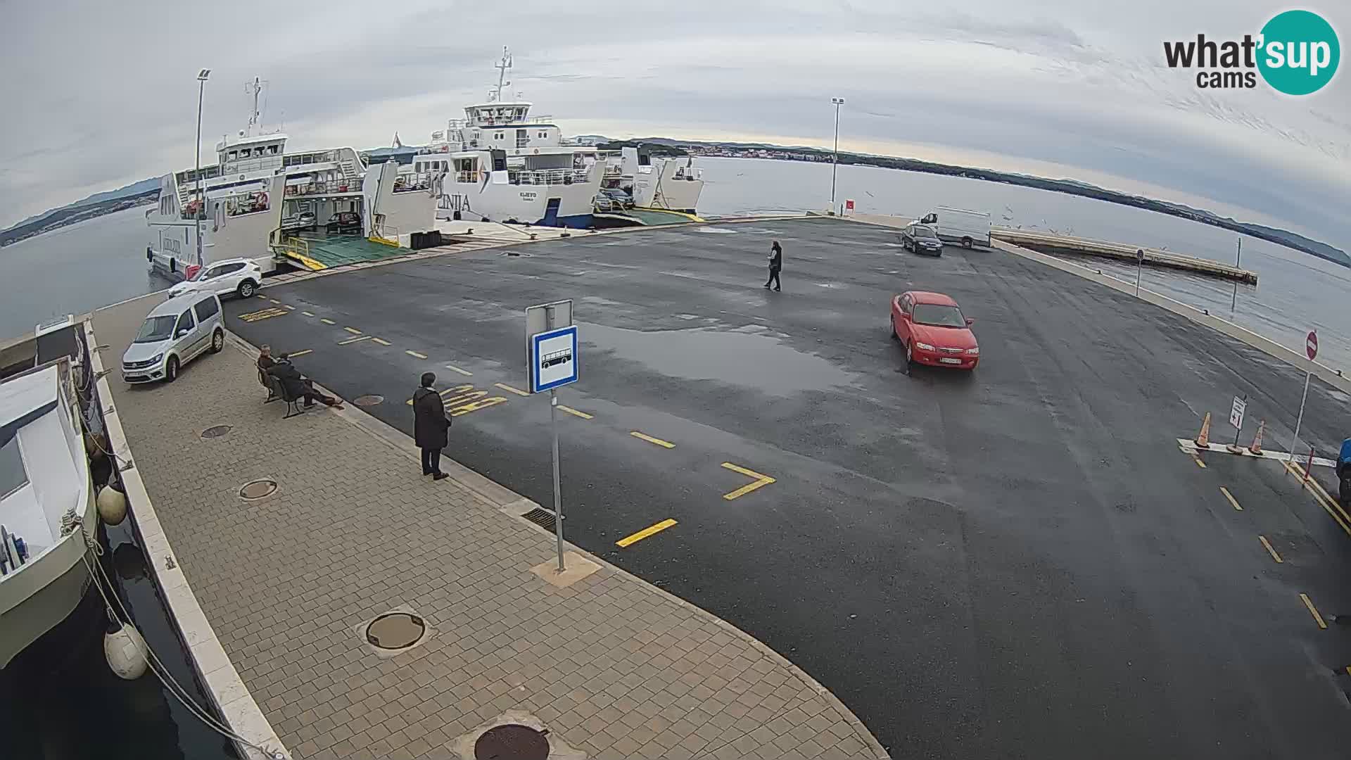 Tkon u živo – trajekt – Dalmacija