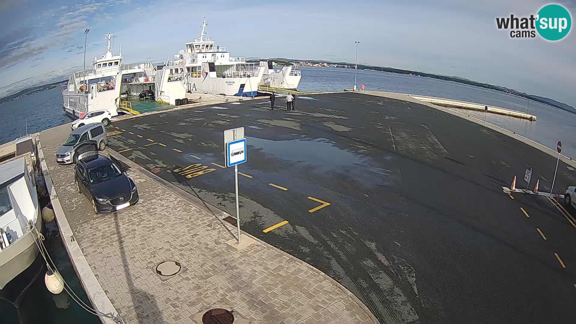 Tkon camera en vivo – Transportar – Dalmacia – Croacia