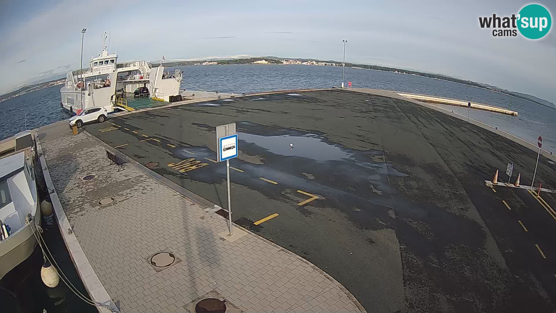 Tkon u živo – trajekt – Dalmacija