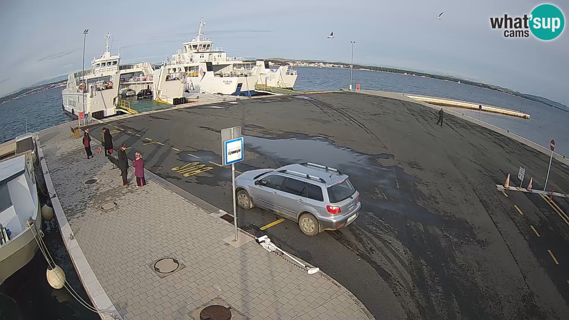 Tkon u živo – trajekt – Dalmacija