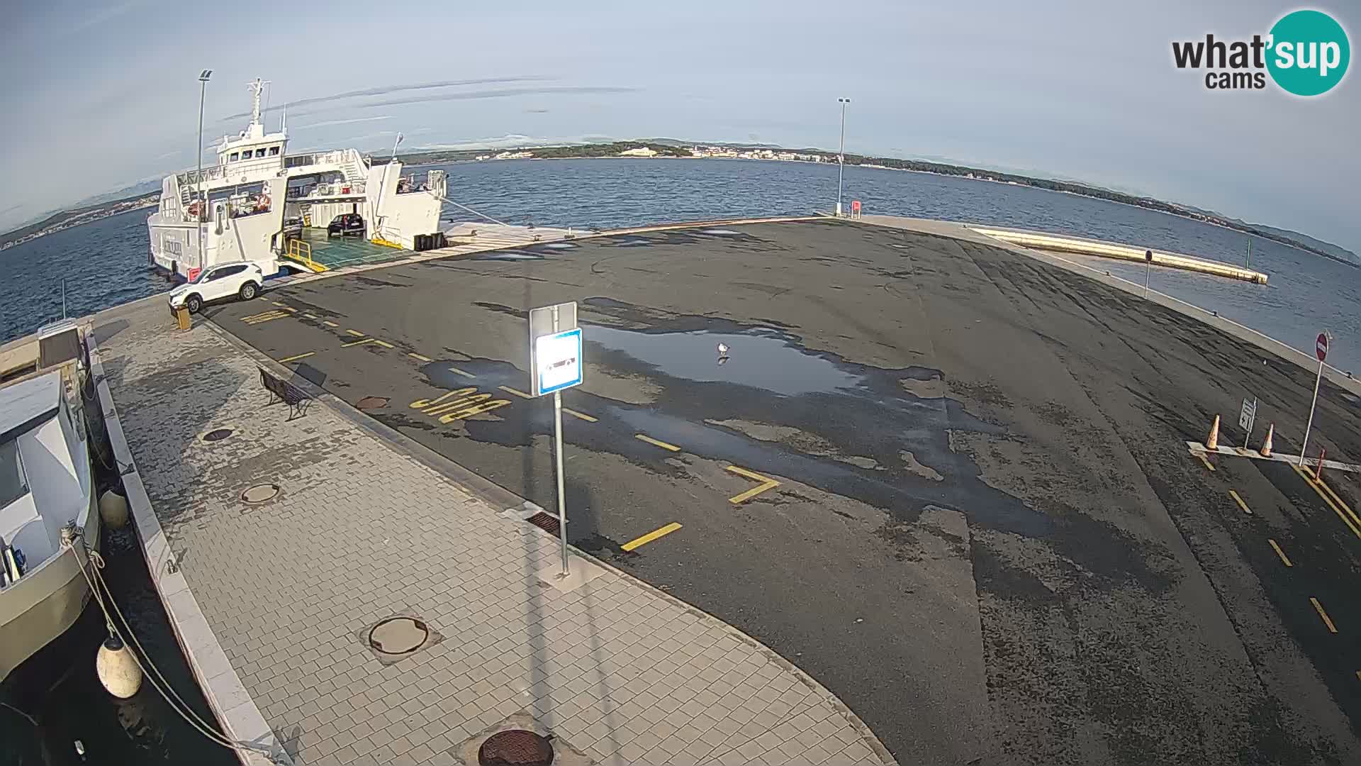 Tkon camera en vivo – Transportar – Dalmacia – Croacia