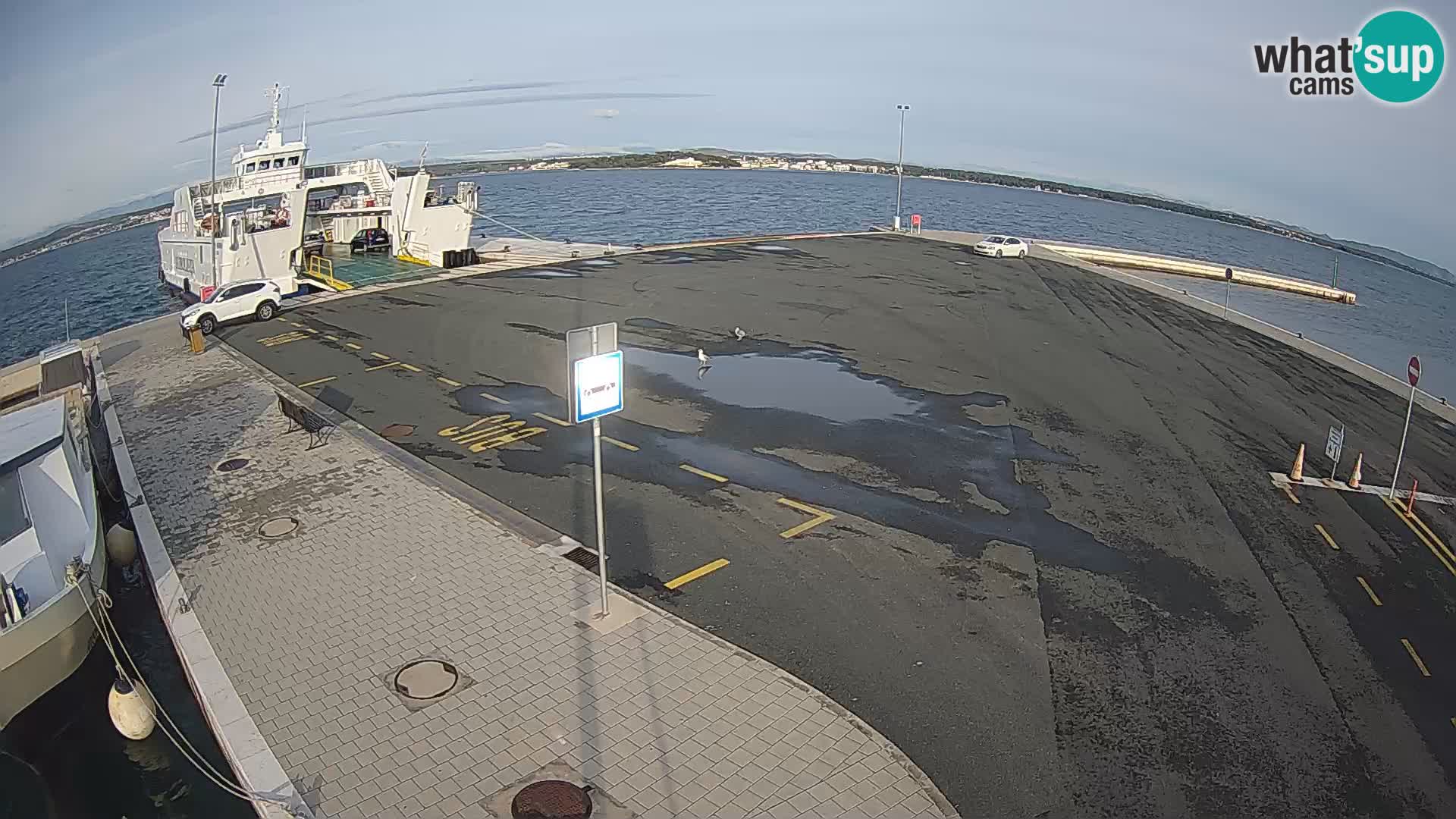Tkon Live cam – ferry – Dalmatie – Croatie