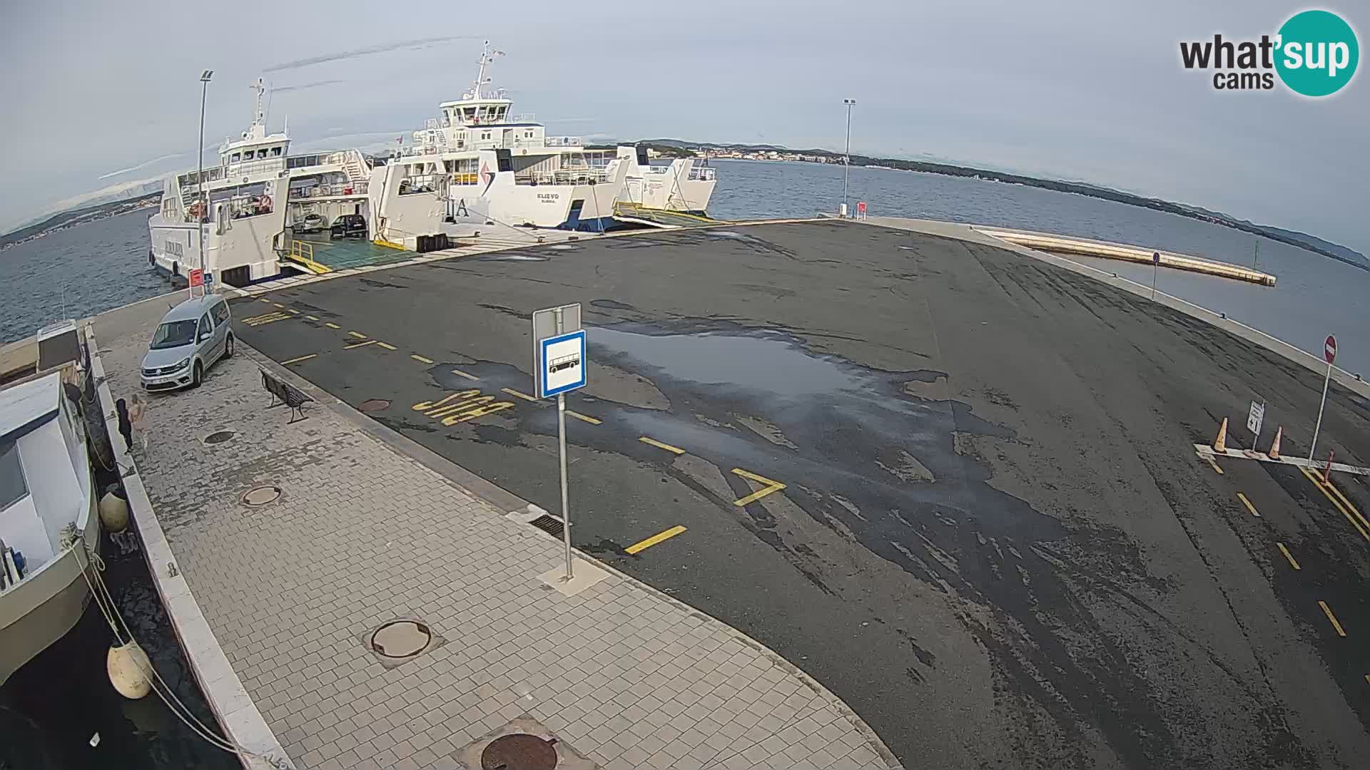 Tkon u živo – trajekt – Dalmacija