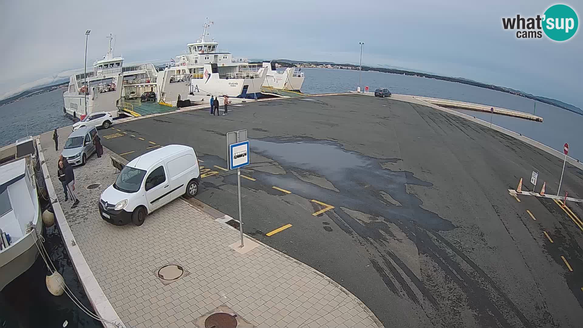 Tkon u živo – trajekt – Dalmacija