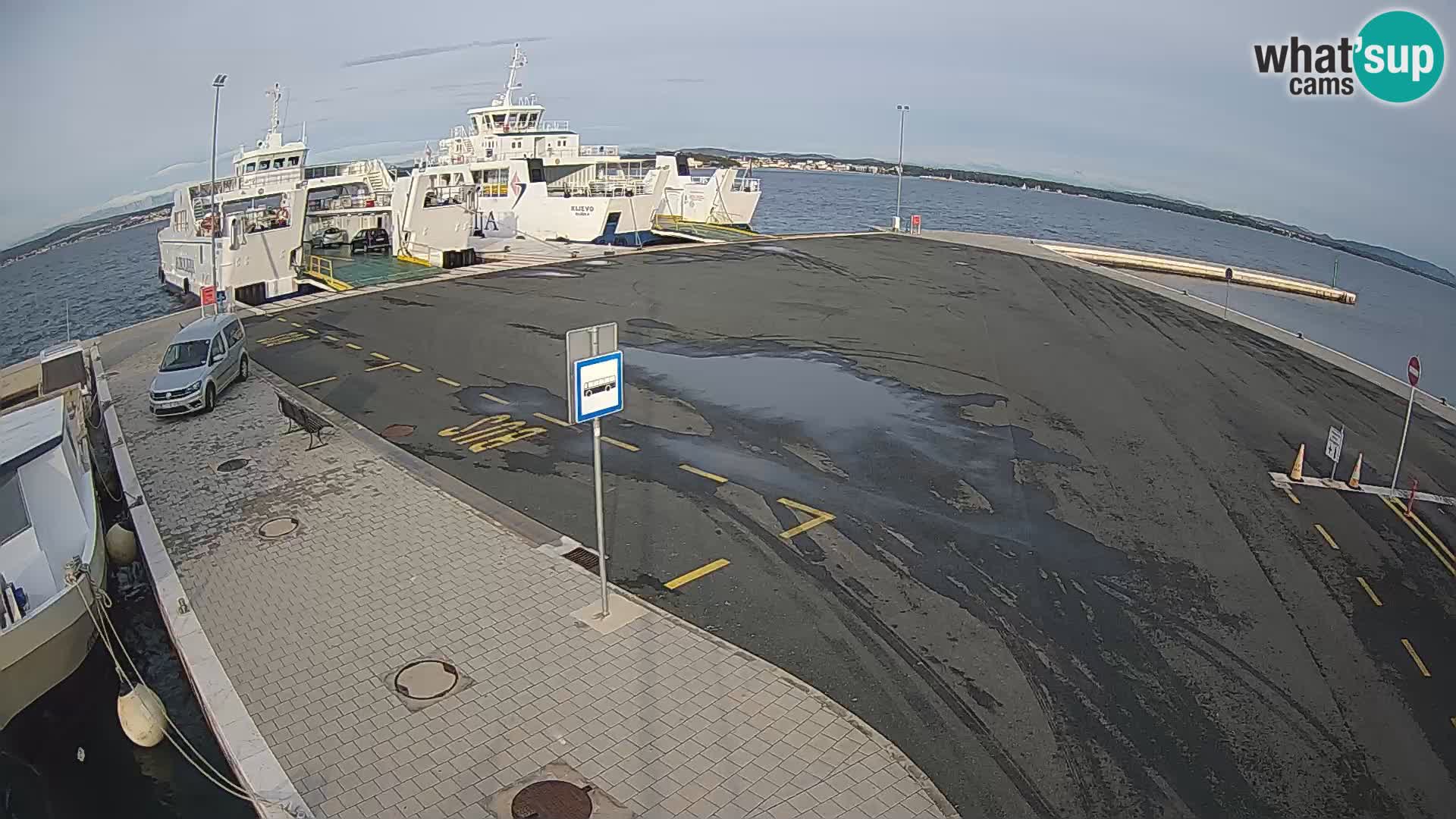 Tkon u živo – trajekt – Dalmacija