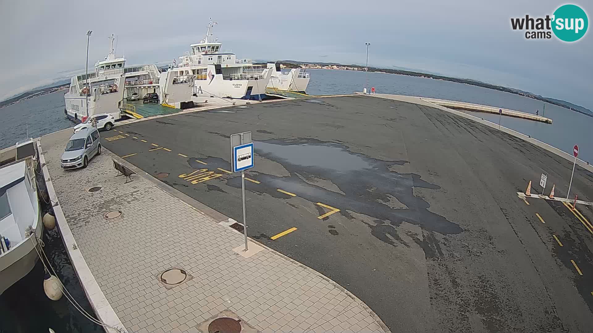 Tkon u živo – trajekt – Dalmacija