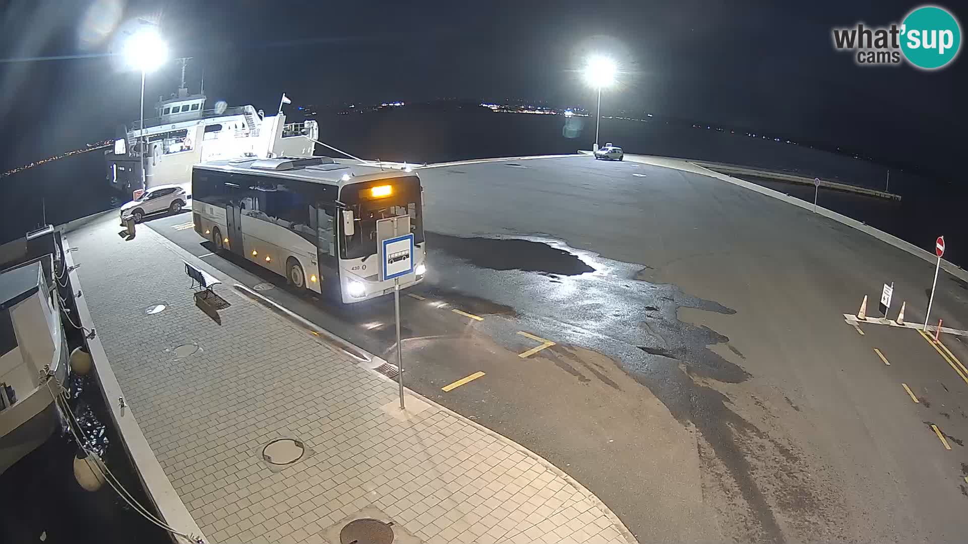 Tkon v živo – trajekt – Dalmacija – Hrvaška