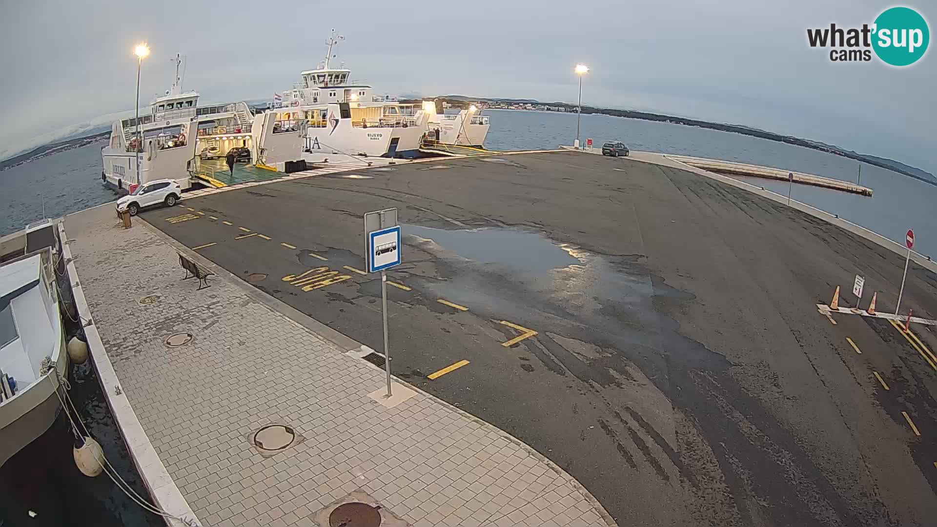 Tkon v živo – trajekt – Dalmacija – Hrvaška