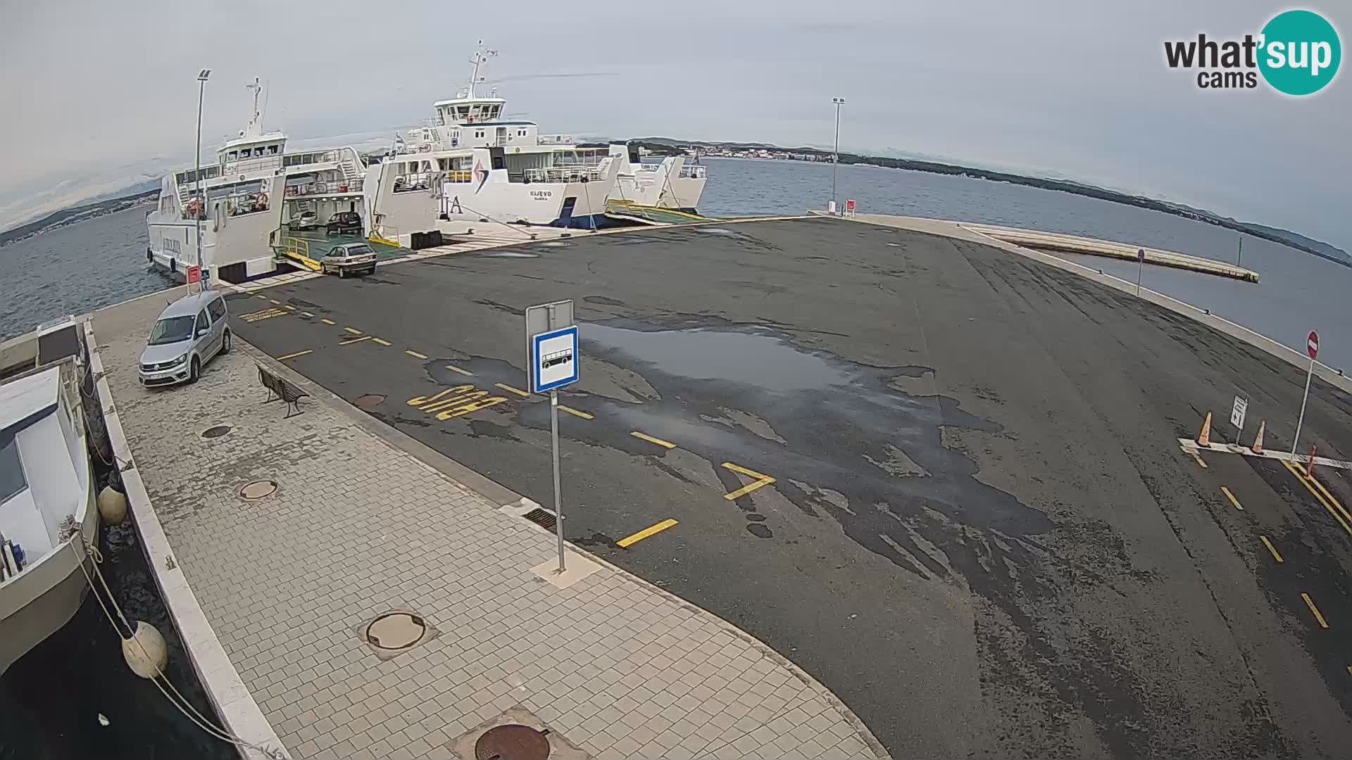 Tkon Live cam – ferry – Dalmatie – Croatie