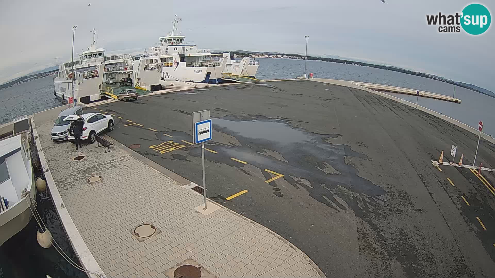 Tkon Live cam – ferry – Dalmatia – Croatia