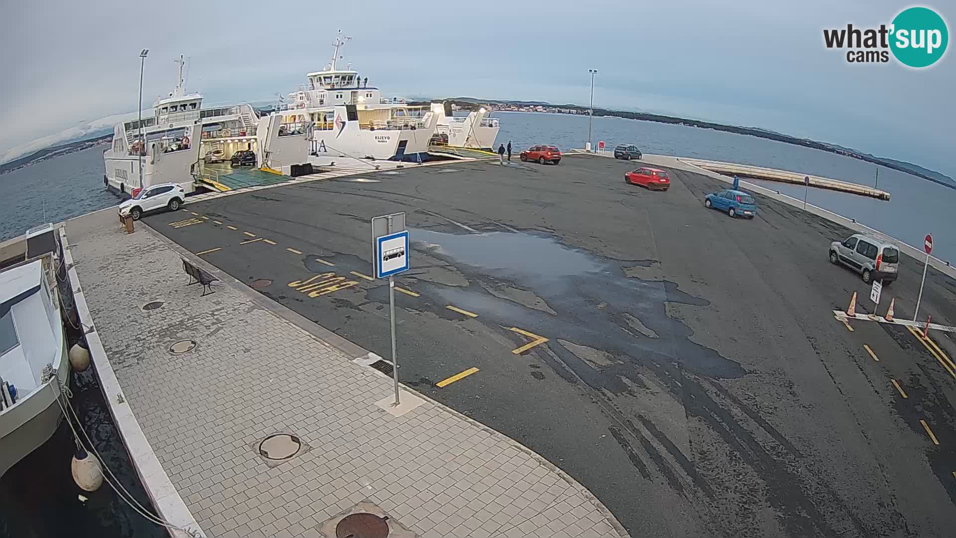 Tkon u živo – trajekt – Dalmacija