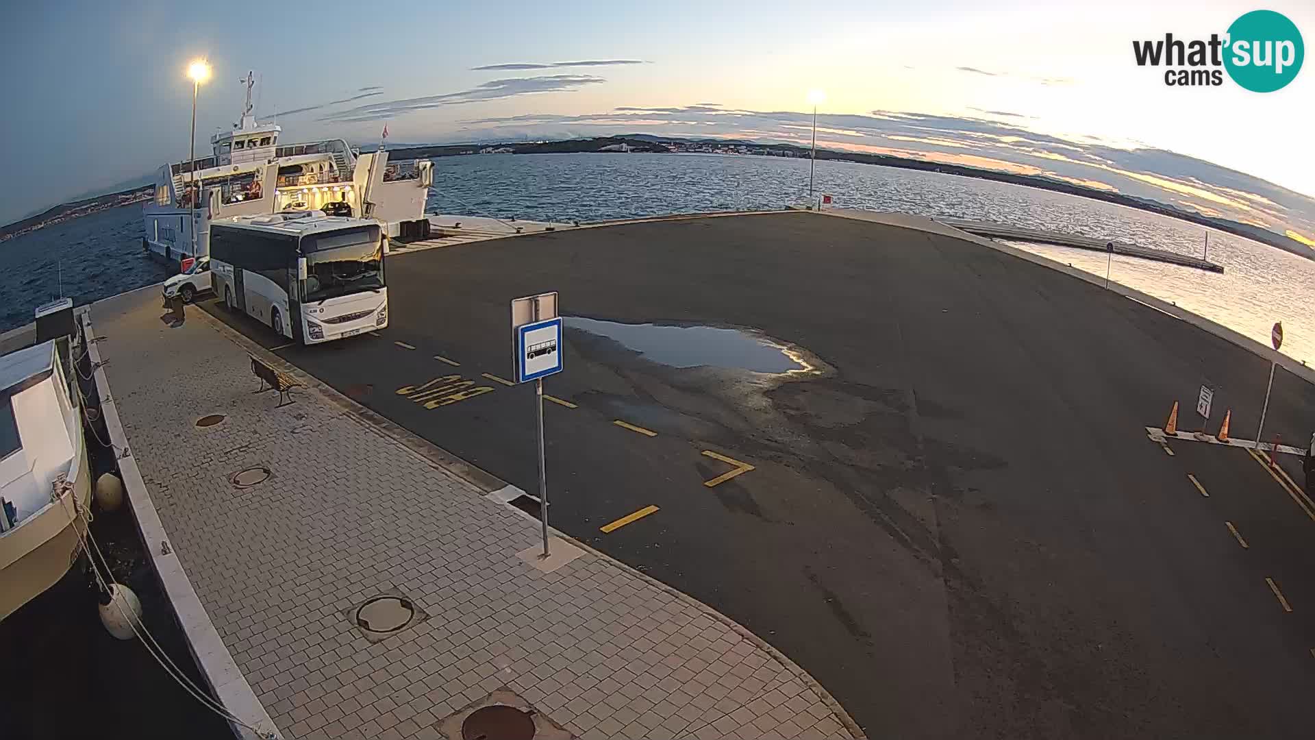 Tkon v živo – trajekt – Dalmacija – Hrvaška