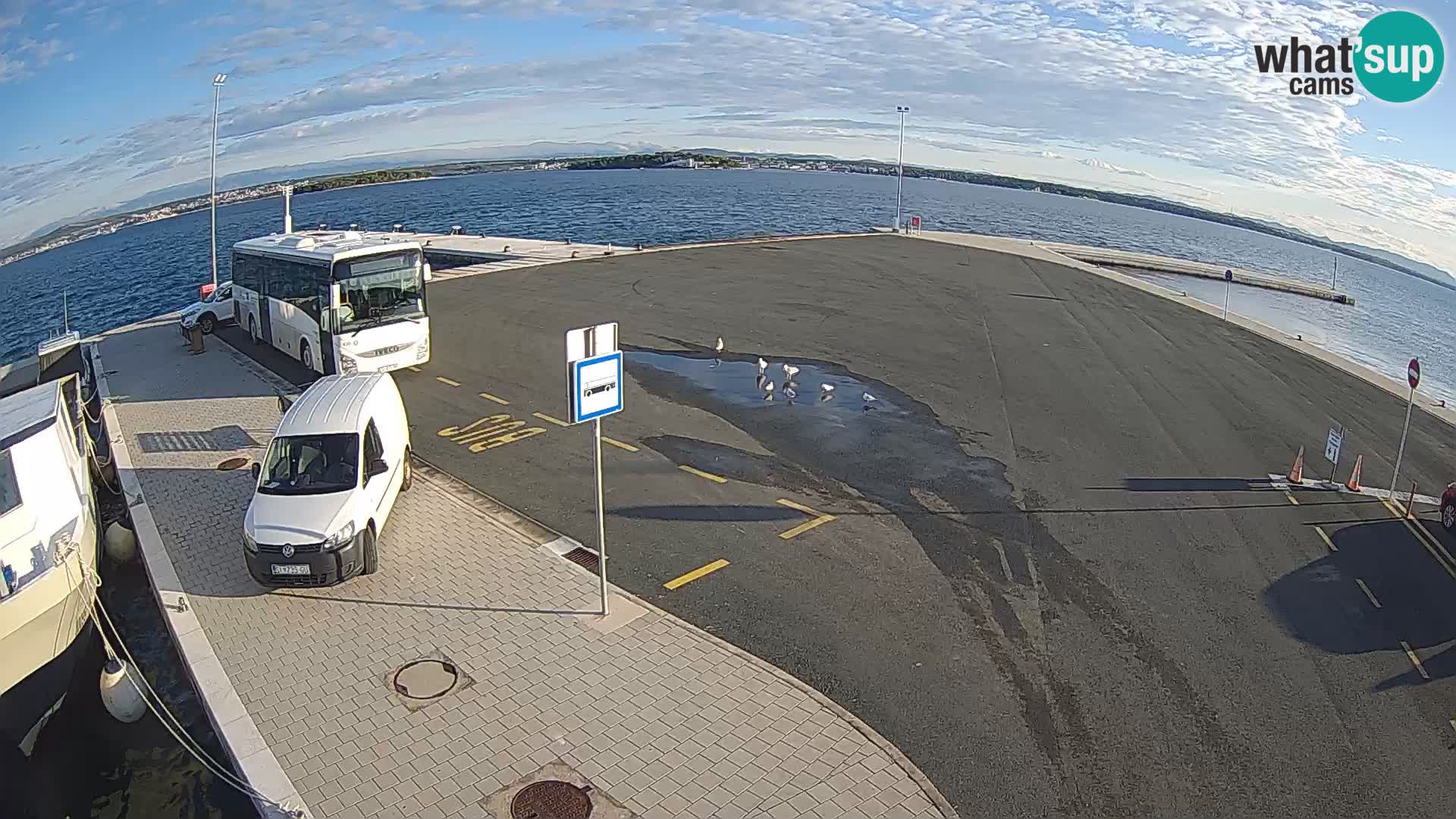 Tkon Live cam – Fähre – Dalmatien – Kroatien