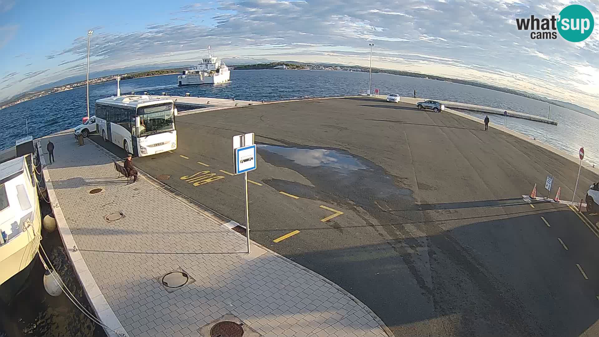 Tkon u živo – trajekt – Dalmacija