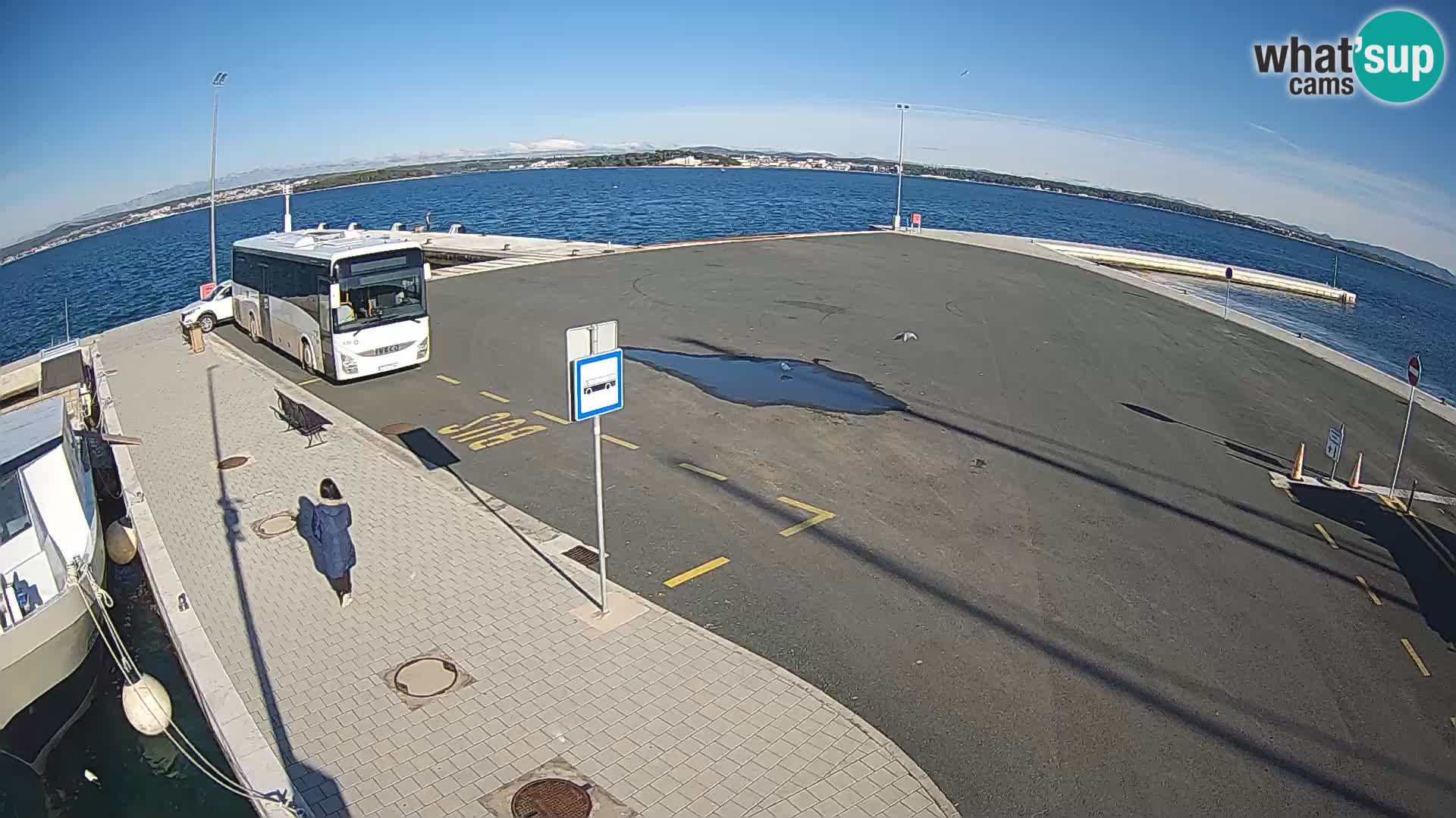 Tkon v živo – trajekt – Dalmacija – Hrvaška