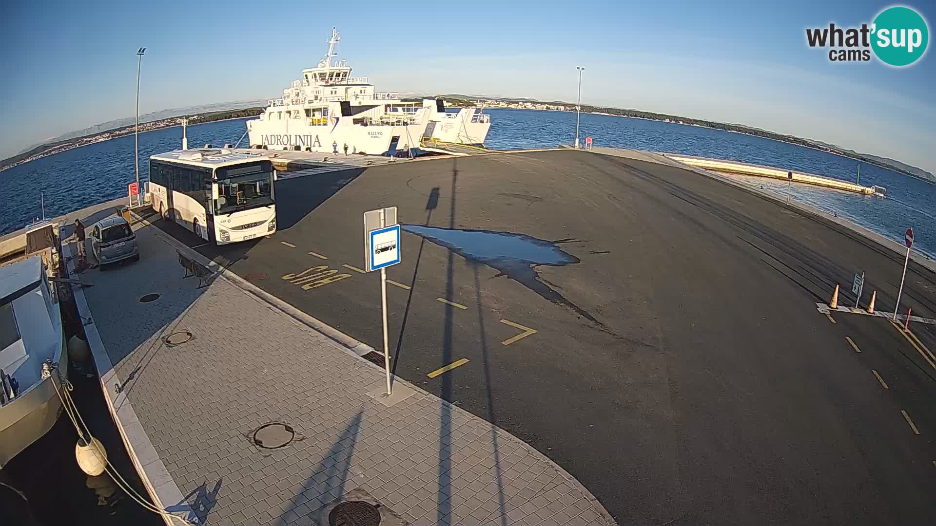 Tkon v živo – trajekt – Dalmacija – Hrvaška