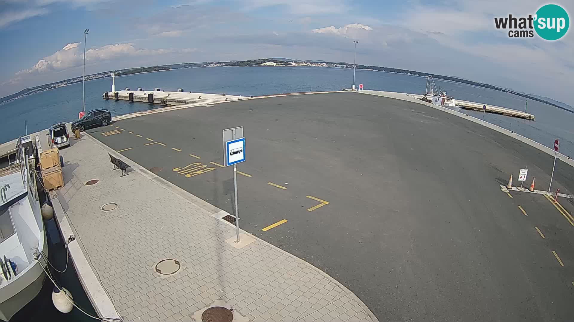 Tkon u živo – trajekt – Dalmacija