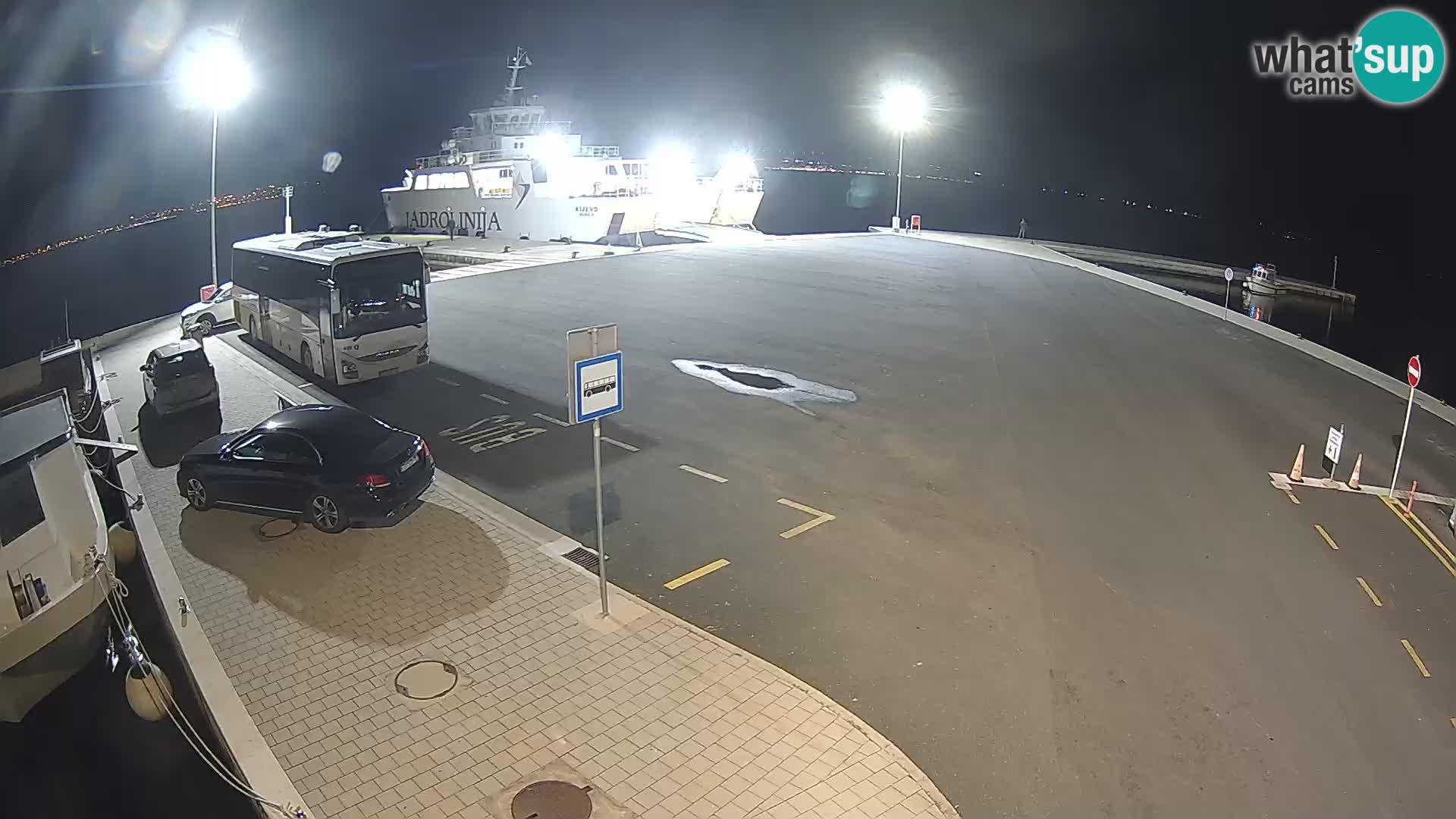 Tkon v živo – trajekt – Dalmacija – Hrvaška