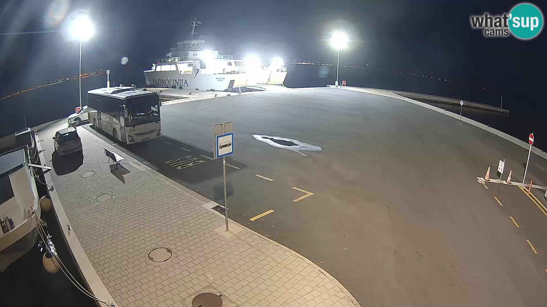 Tkon v živo – trajekt – Dalmacija – Hrvaška