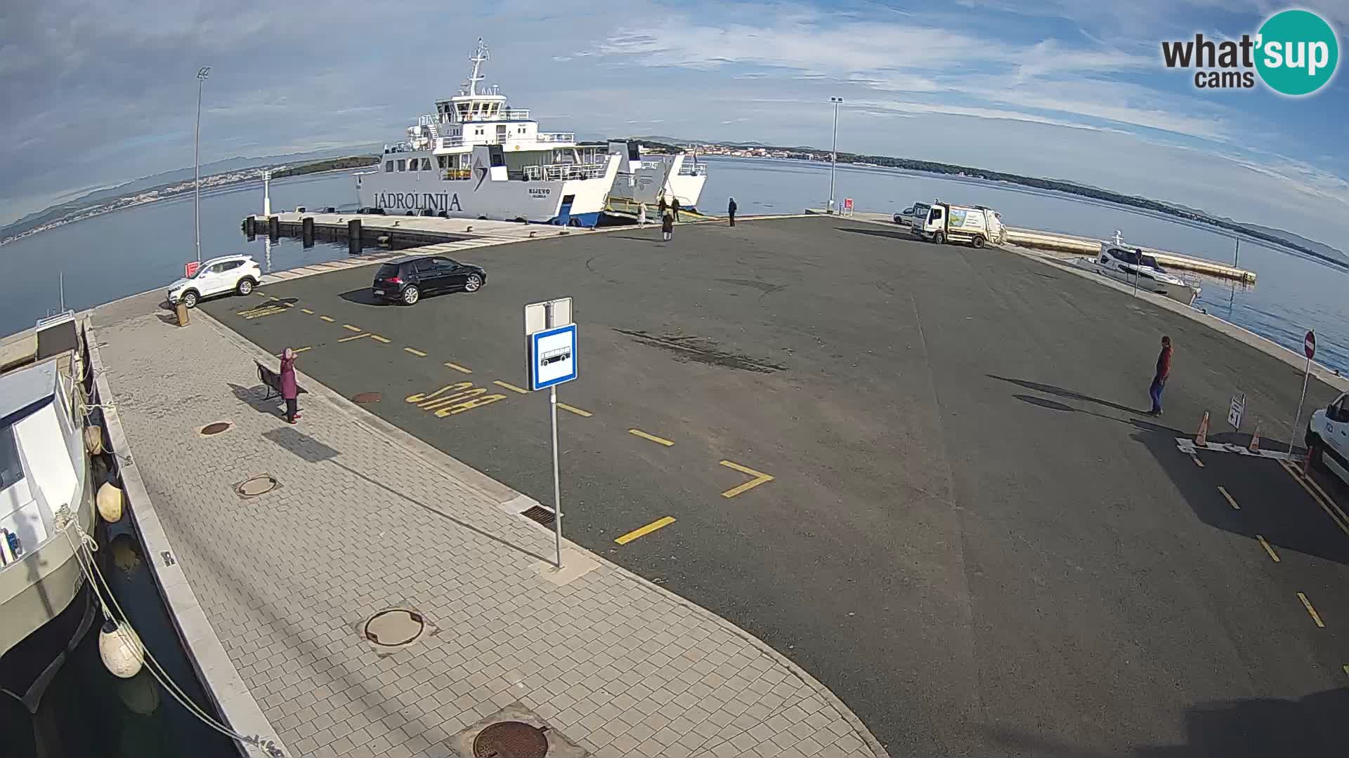 Tkon v živo – trajekt – Dalmacija – Hrvaška