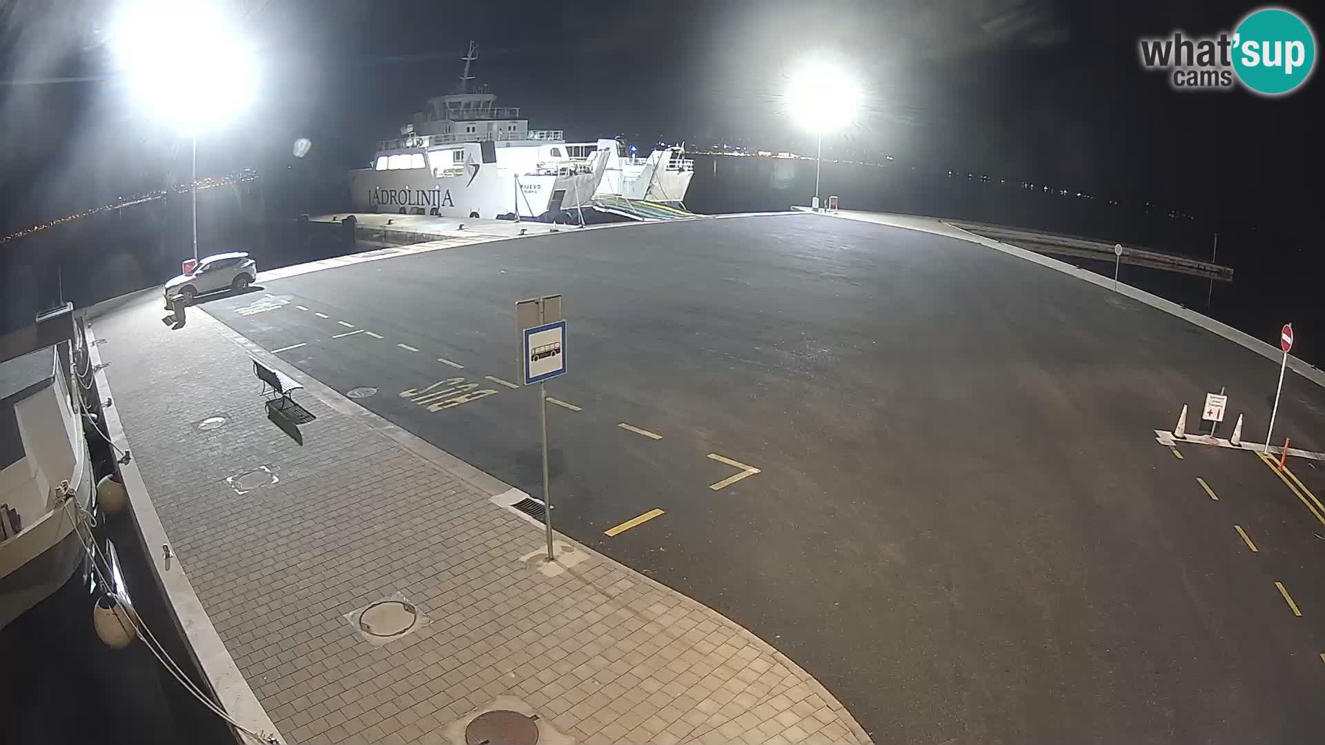 Tkon v živo – trajekt – Dalmacija – Hrvaška