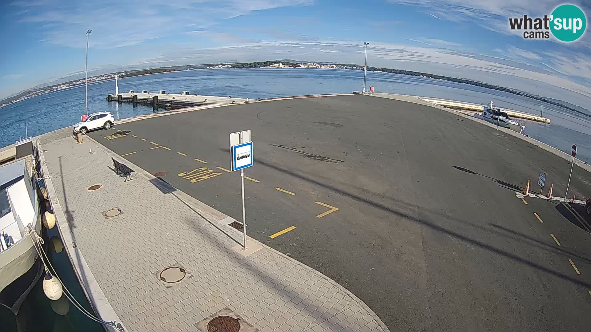 Tkon v živo – trajekt – Dalmacija – Hrvaška