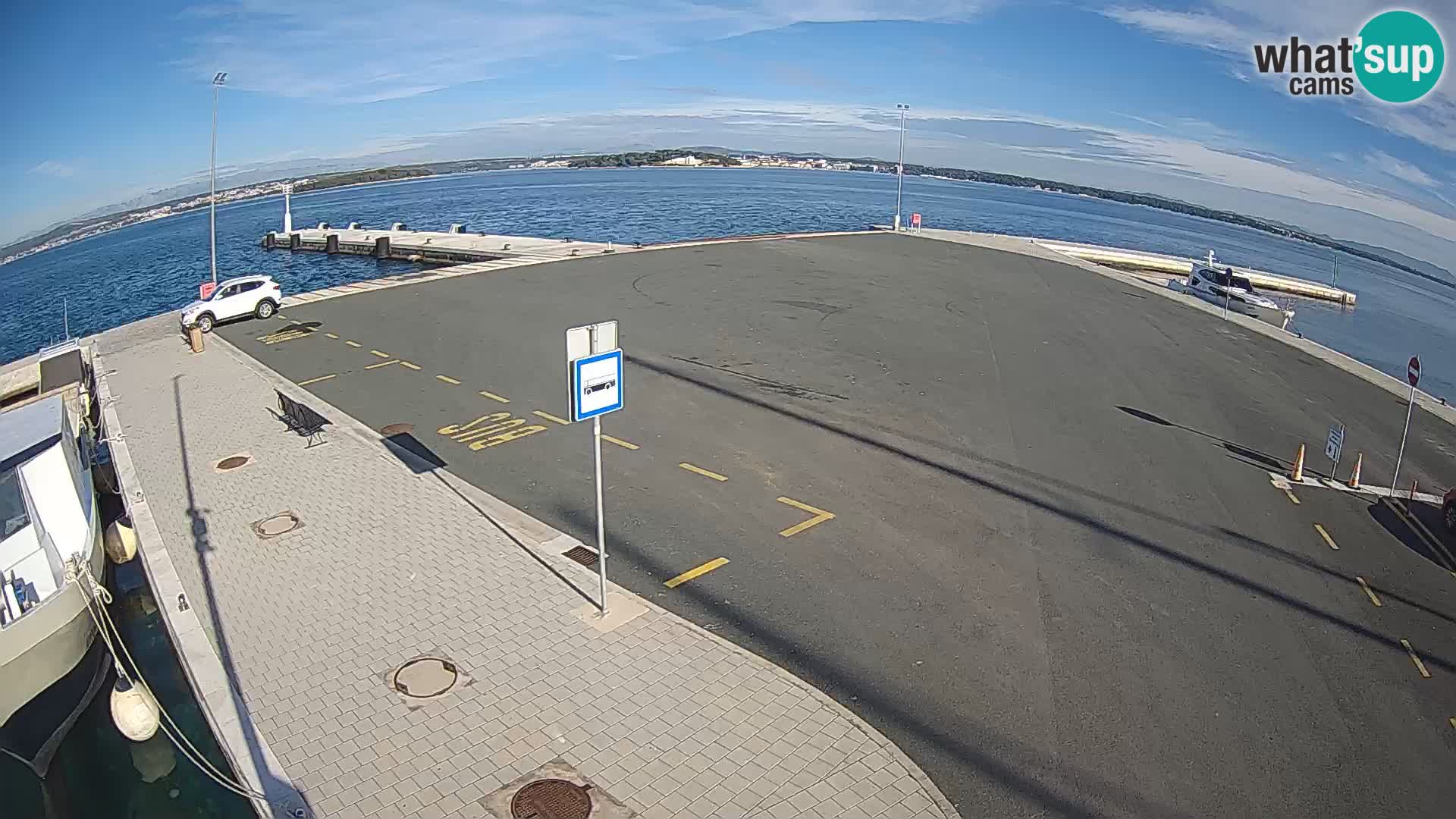 Tkon v živo – trajekt – Dalmacija – Hrvaška