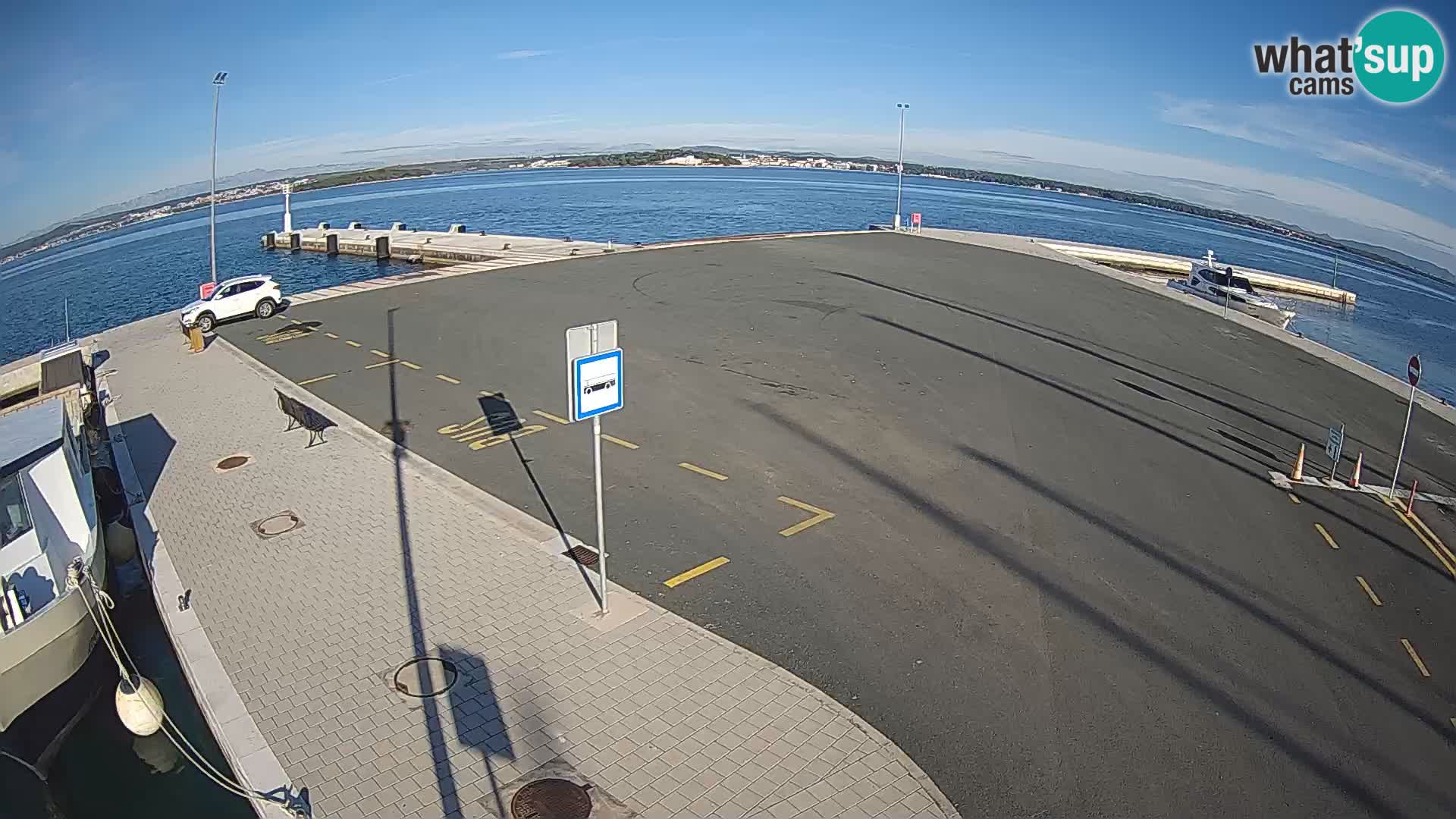 Tkon v živo – trajekt – Dalmacija – Hrvaška