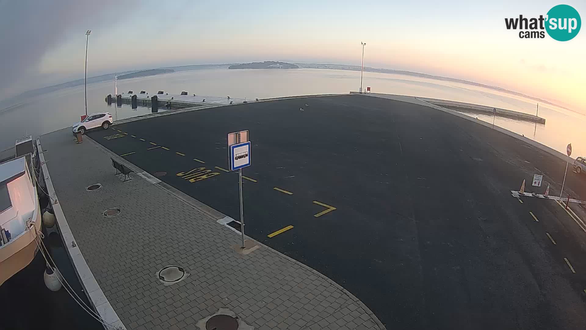 Tkon v živo – trajekt – Dalmacija – Hrvaška