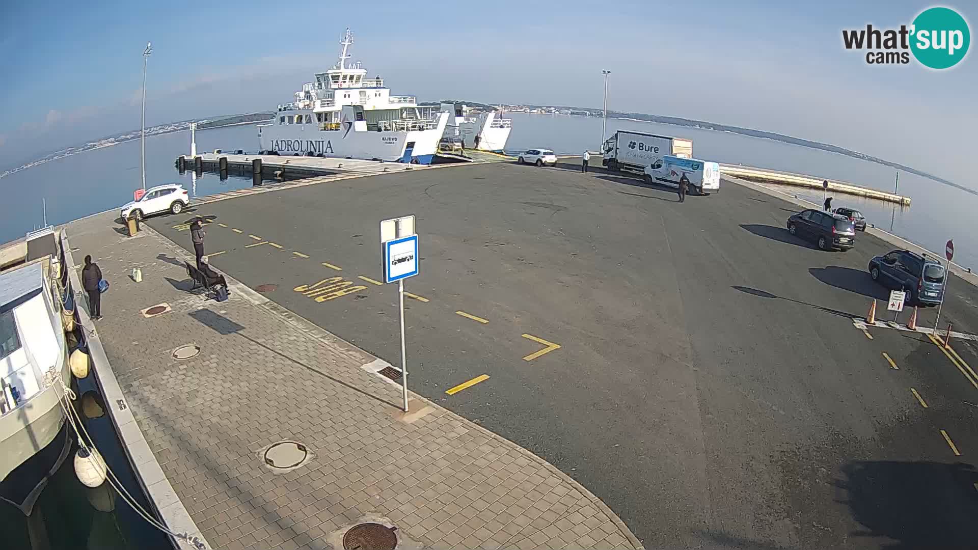 Tkon v živo – trajekt – Dalmacija – Hrvaška