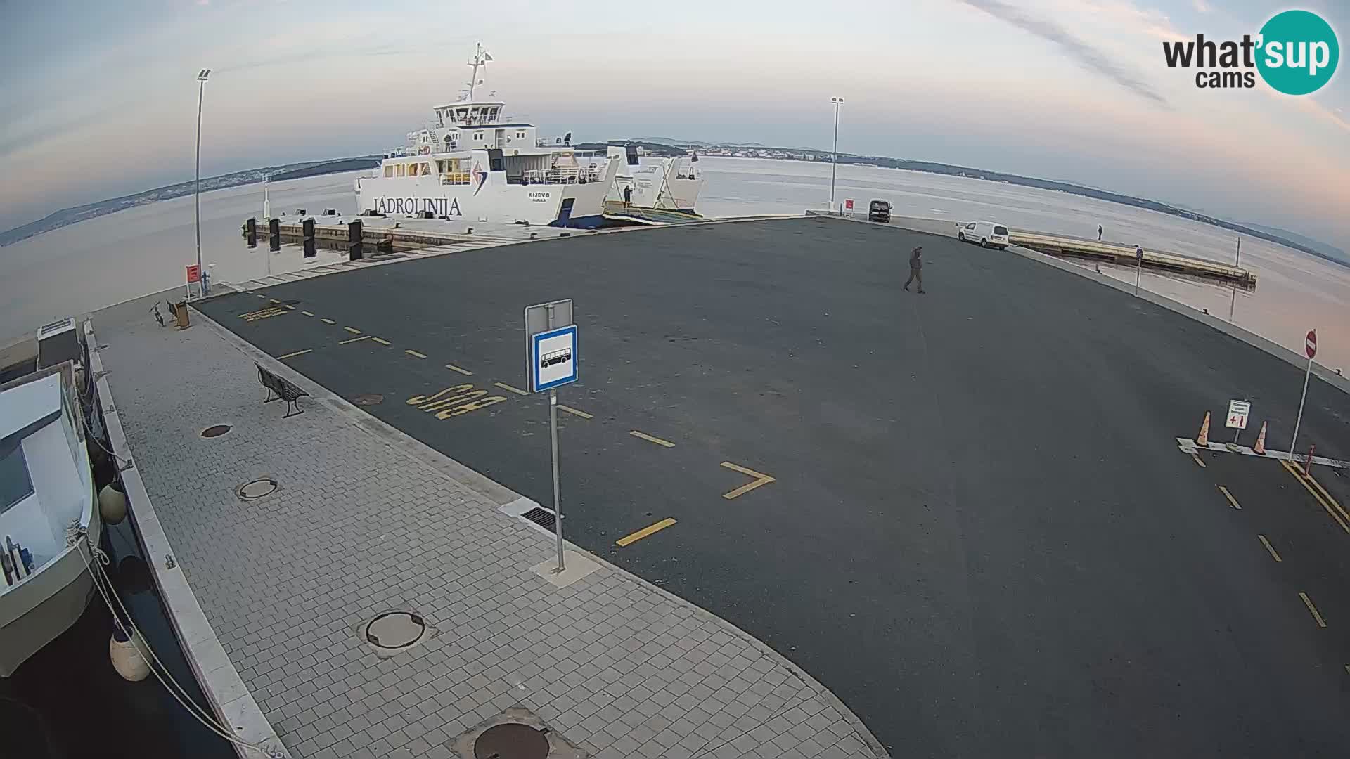 Tkon v živo – trajekt – Dalmacija – Hrvaška