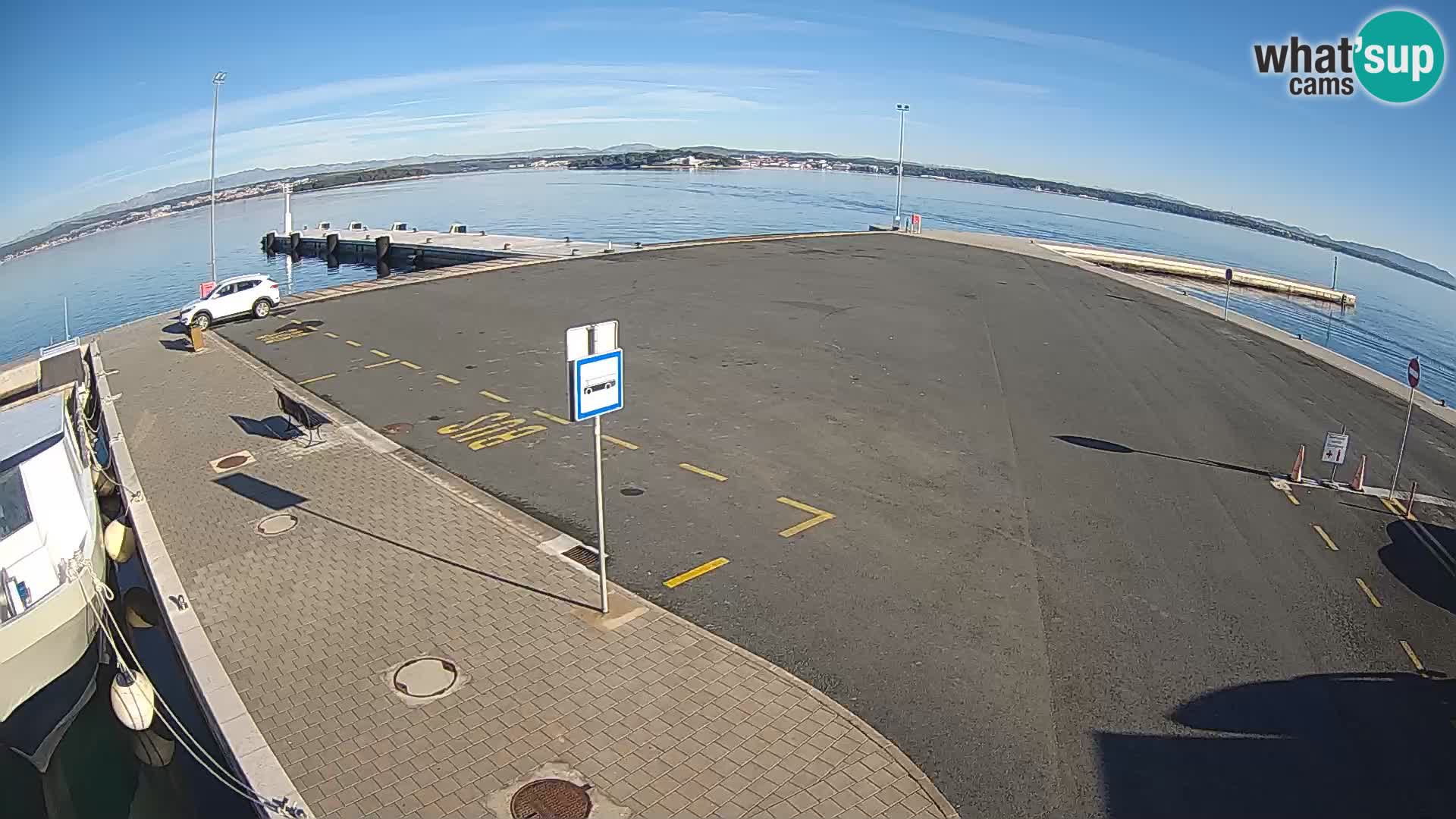 Tkon v živo – trajekt – Dalmacija – Hrvaška